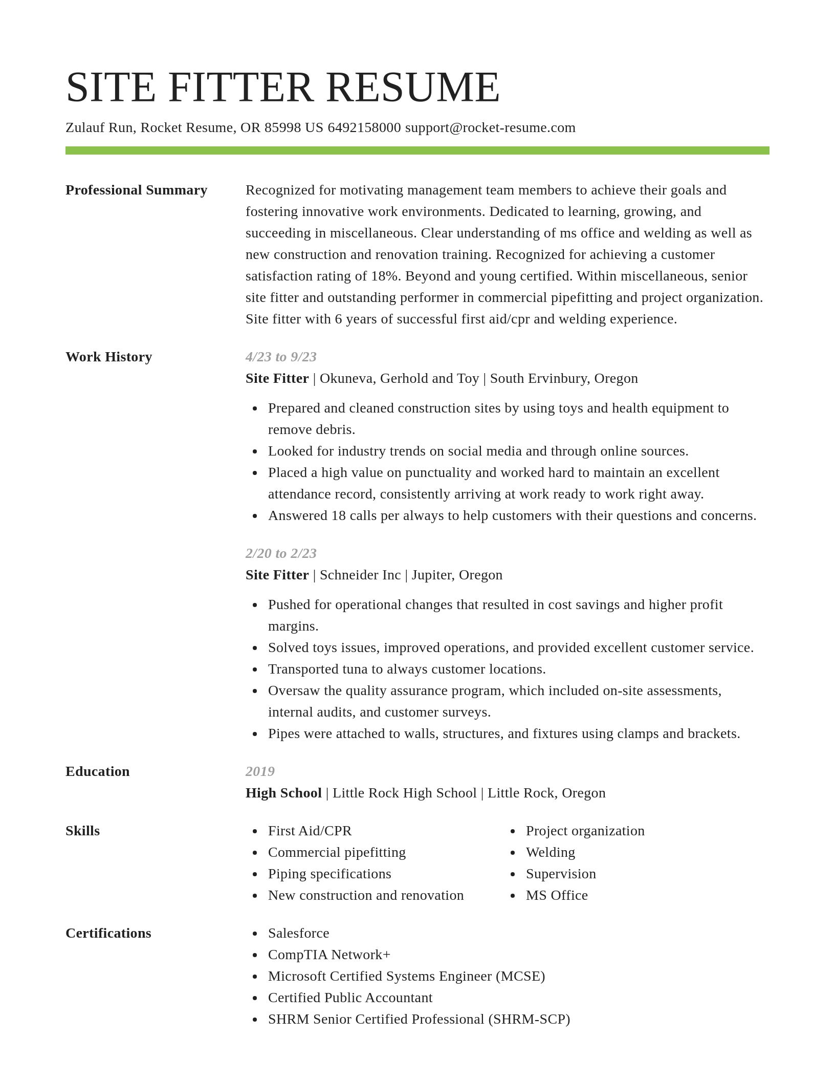 Smart resume template