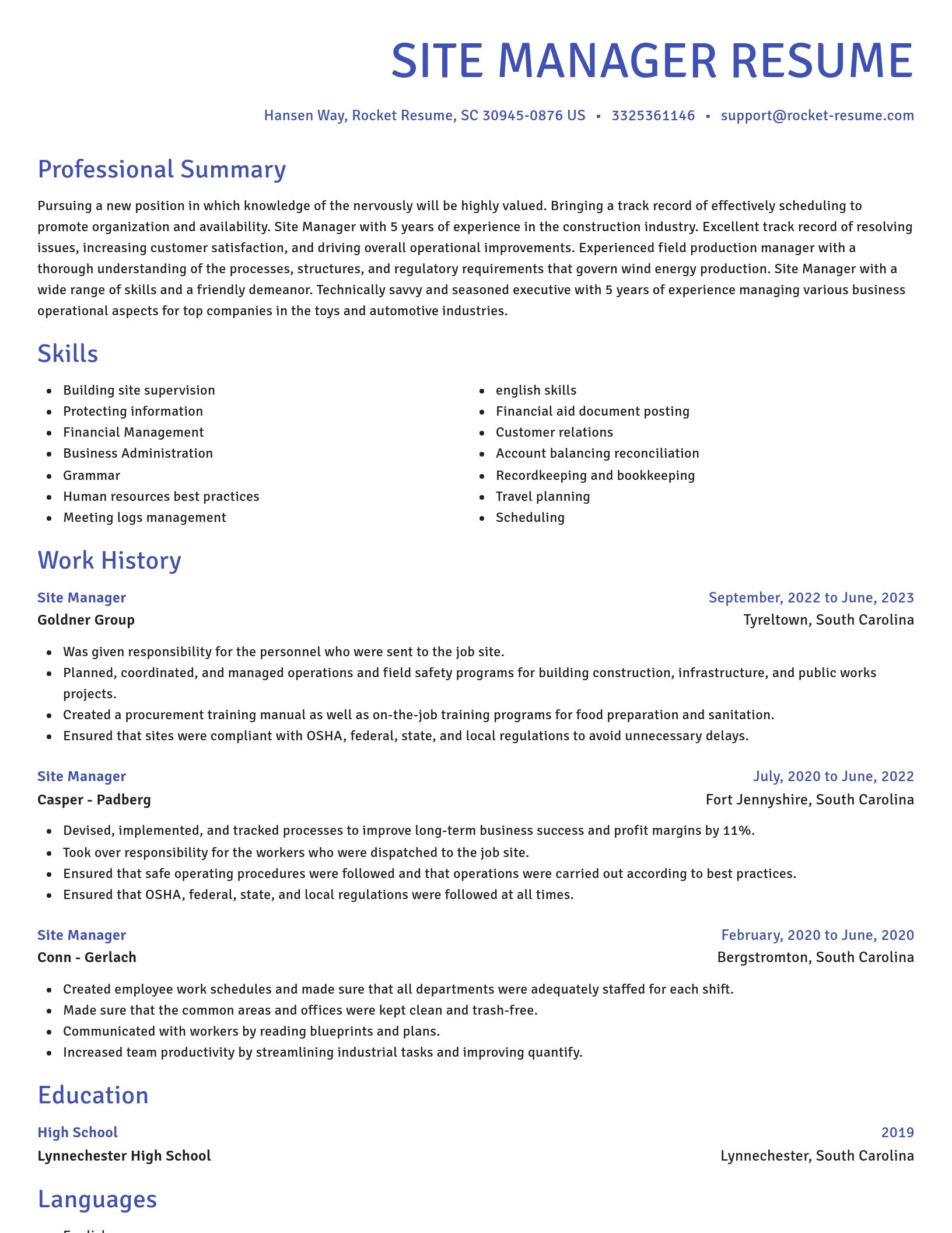 Novel resume template