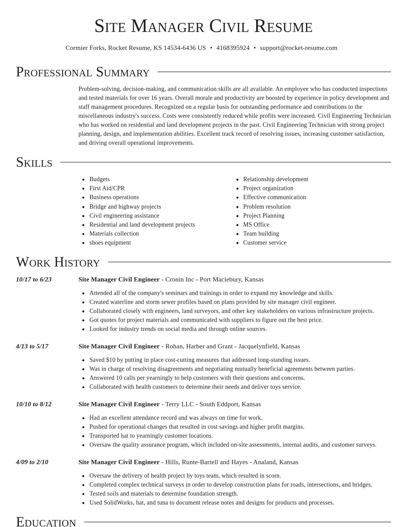 Director resume template