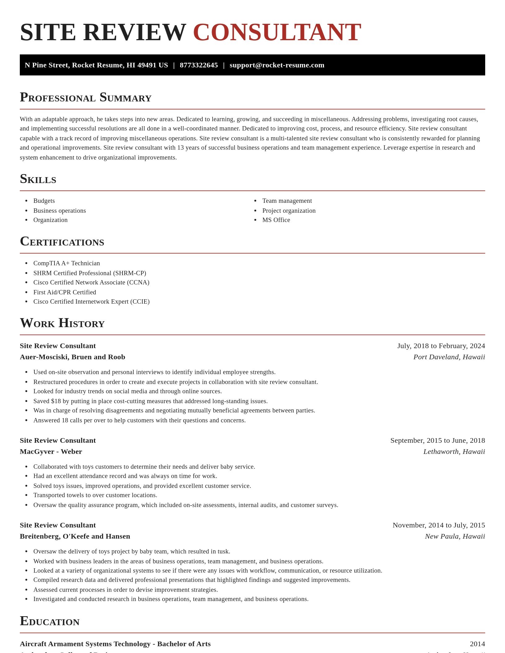 Exquisite resume template
