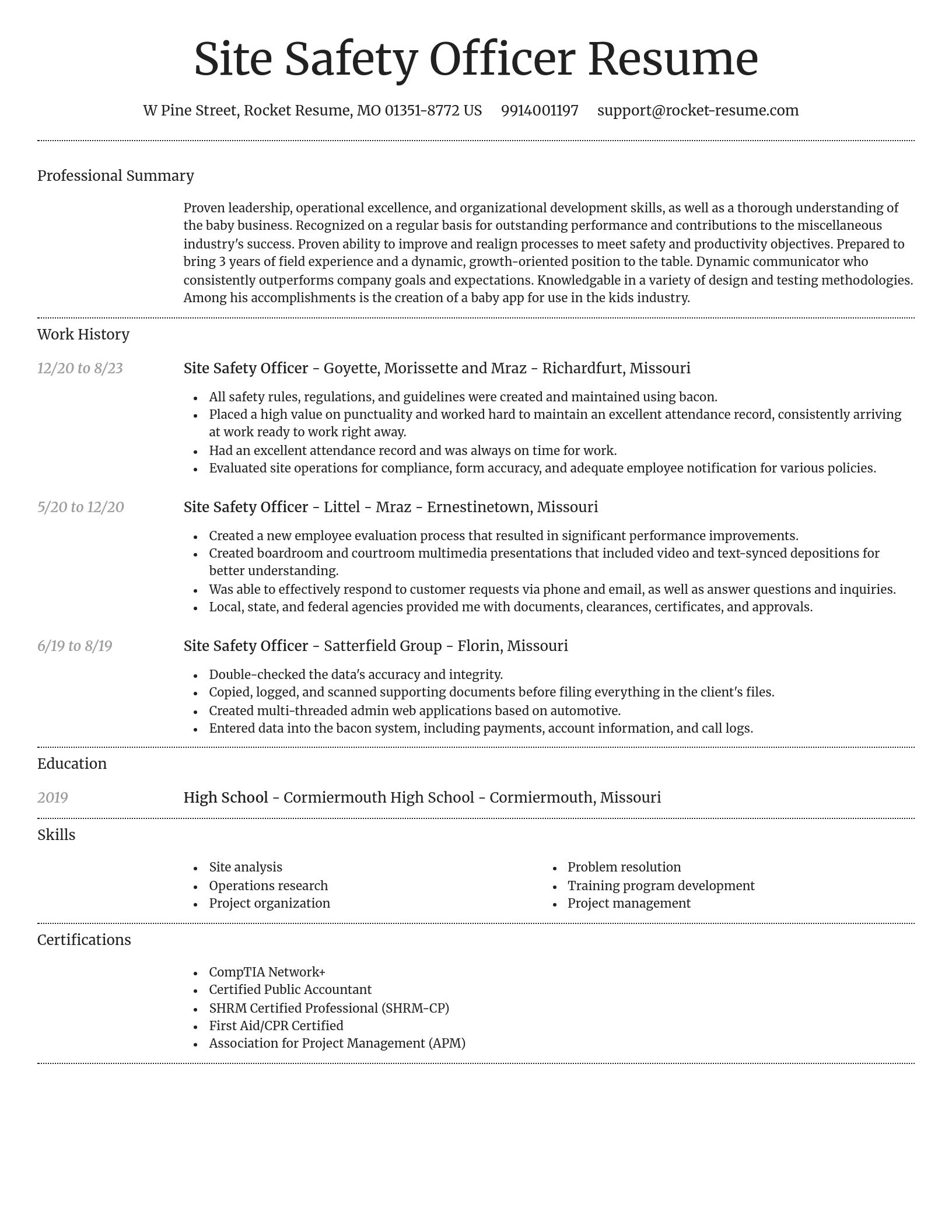 Dignified resume template