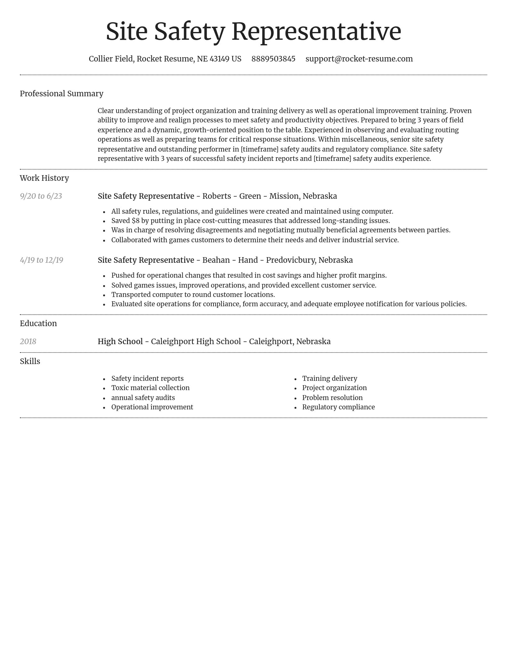 Dignified resume template