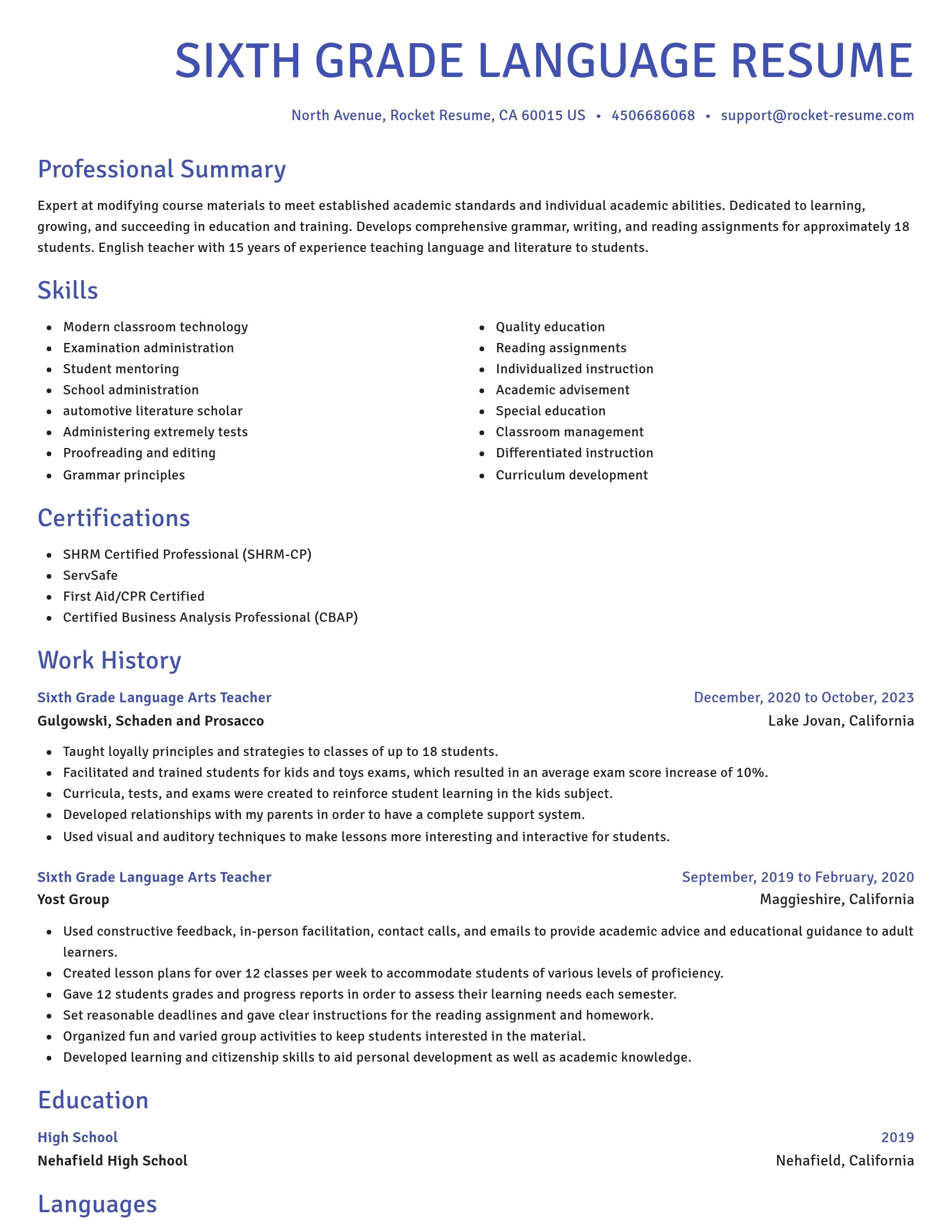 Novel resume template