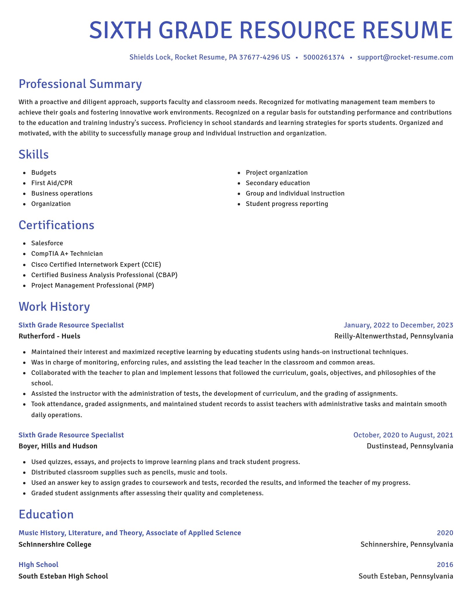 Novel resume template
