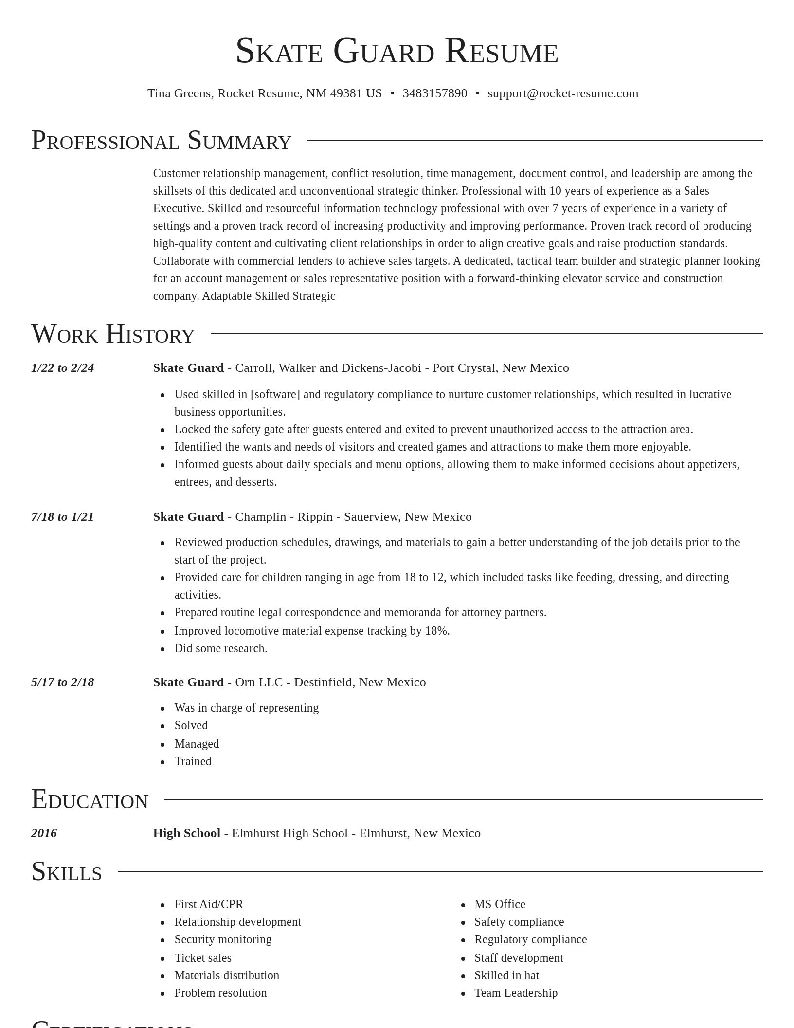 Director resume template
