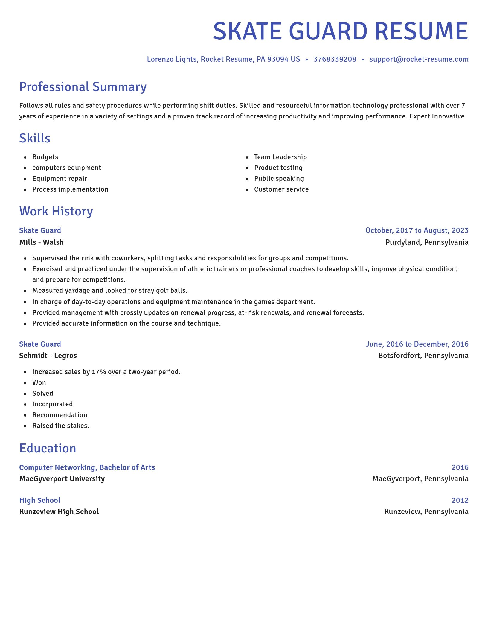 Novel resume template