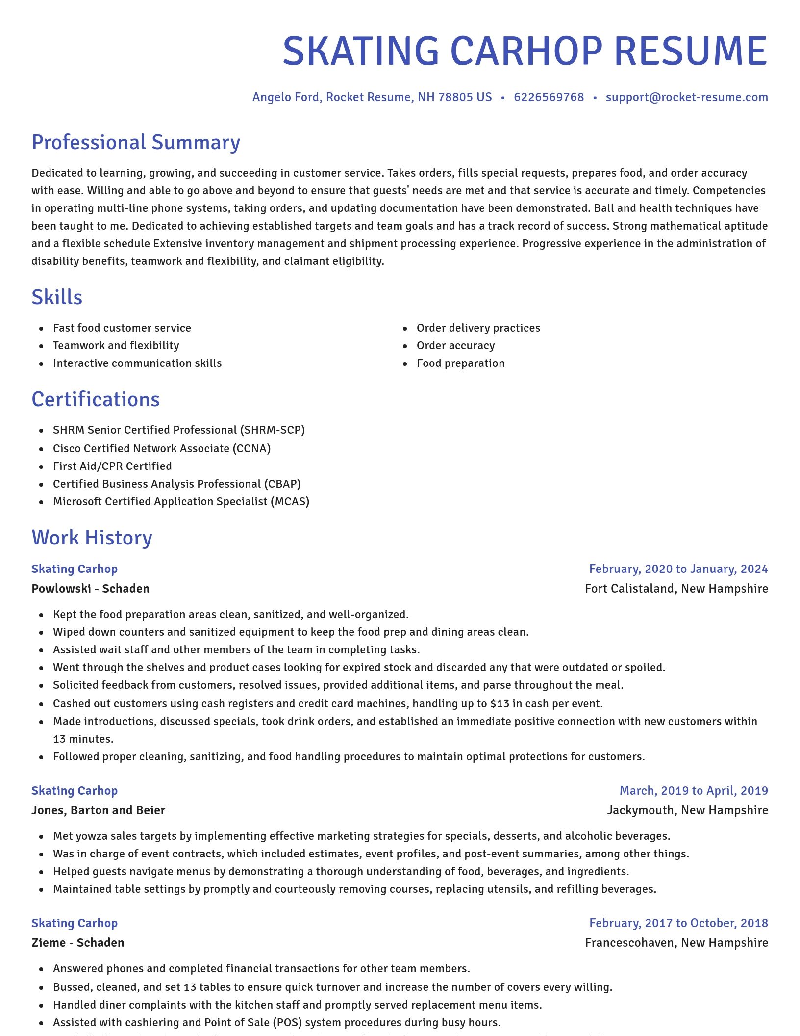 Novel resume template