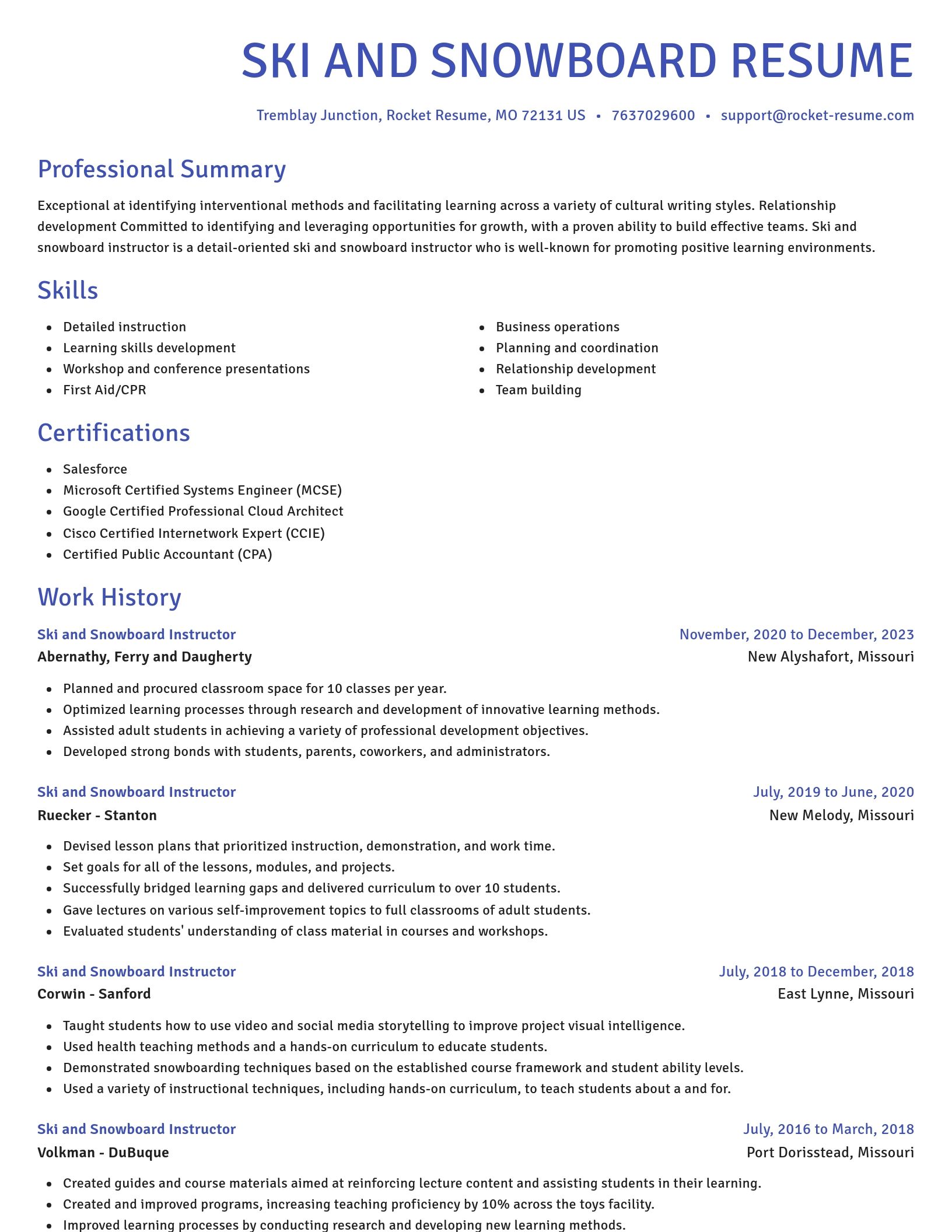 Novel resume template