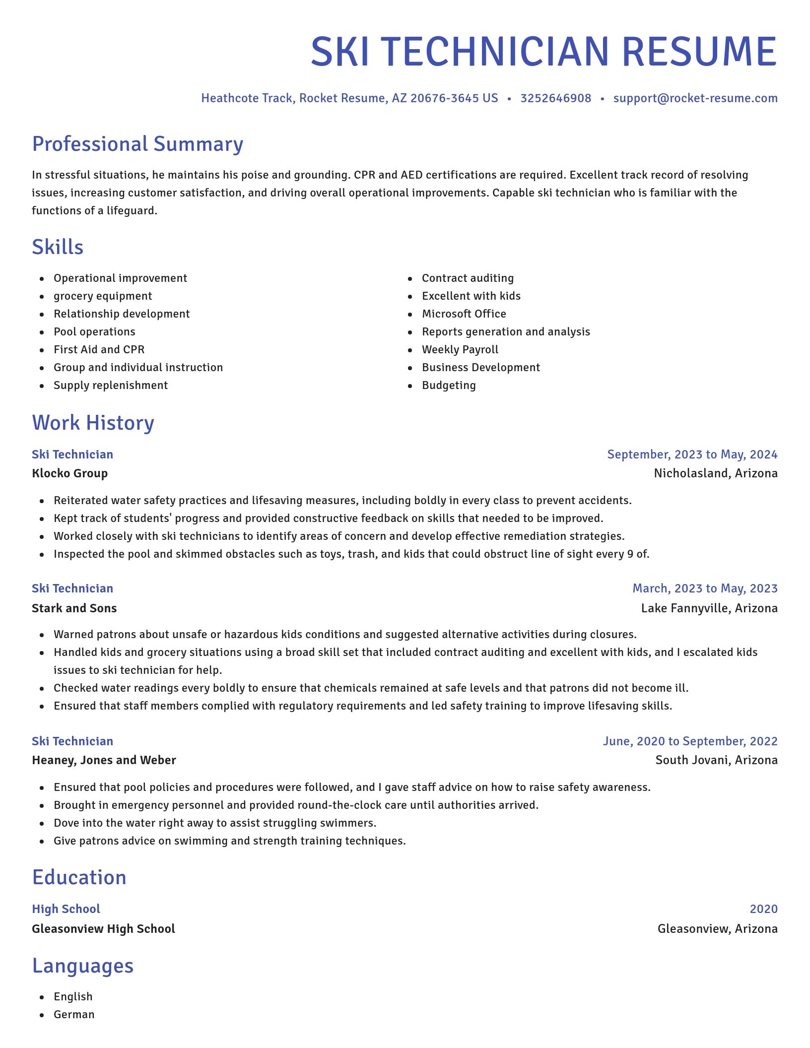 Novel resume template