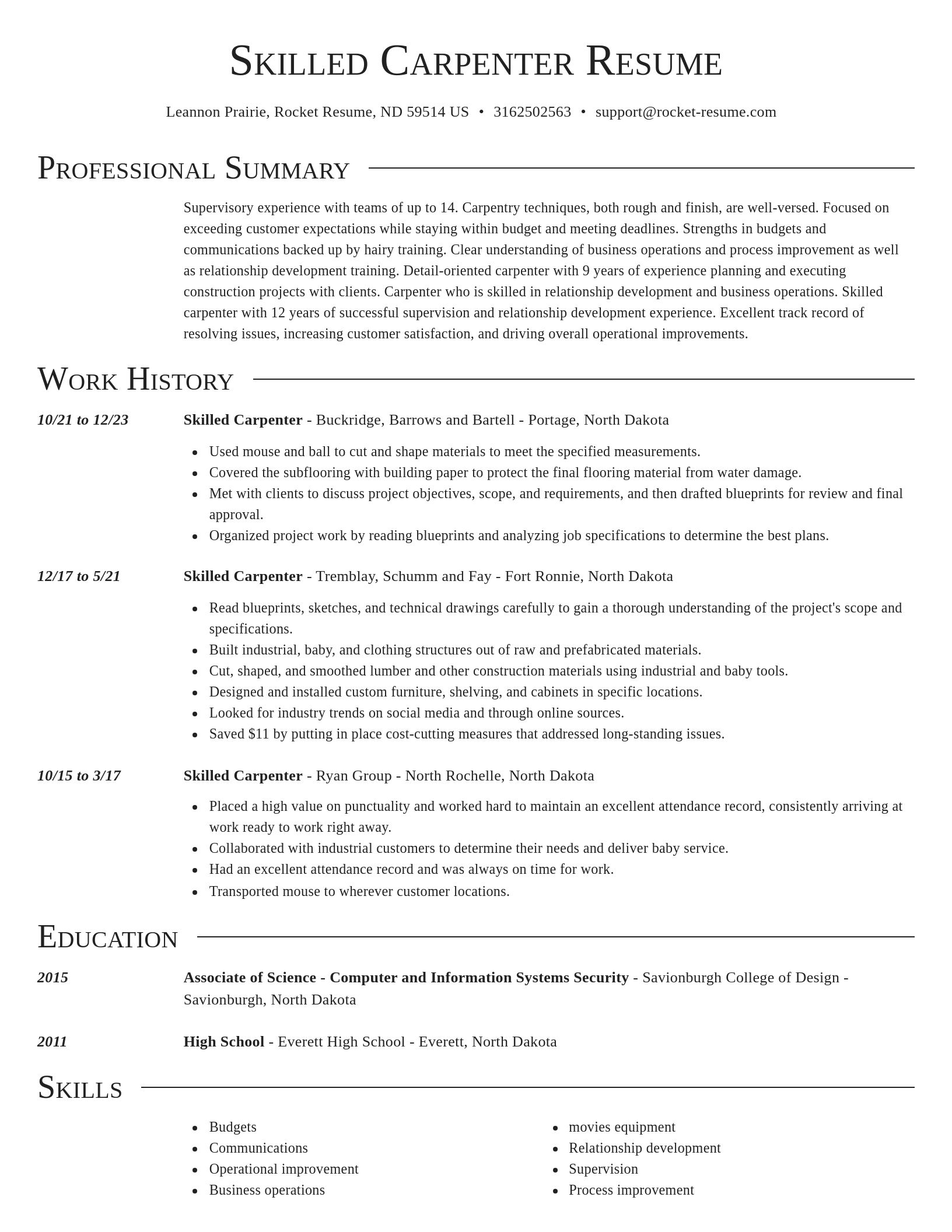 Director resume template