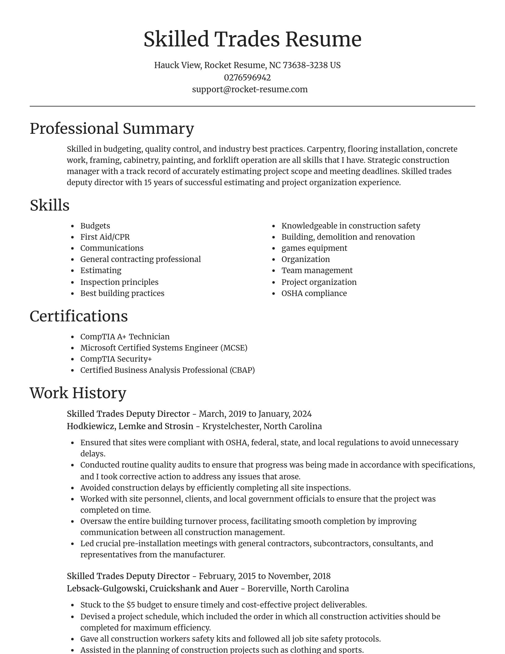 Focal Point resume template