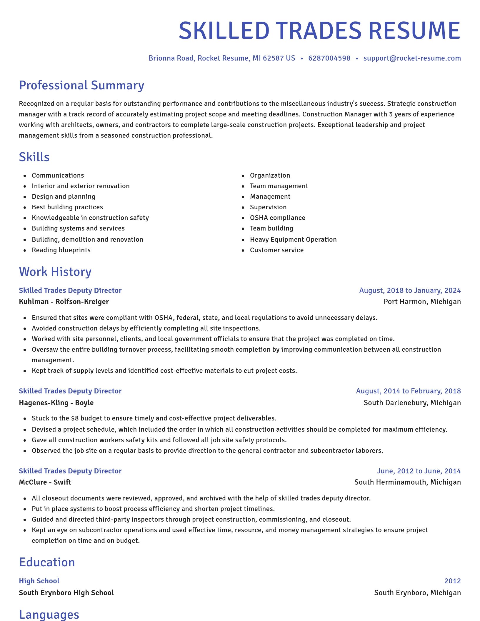 Novel resume template