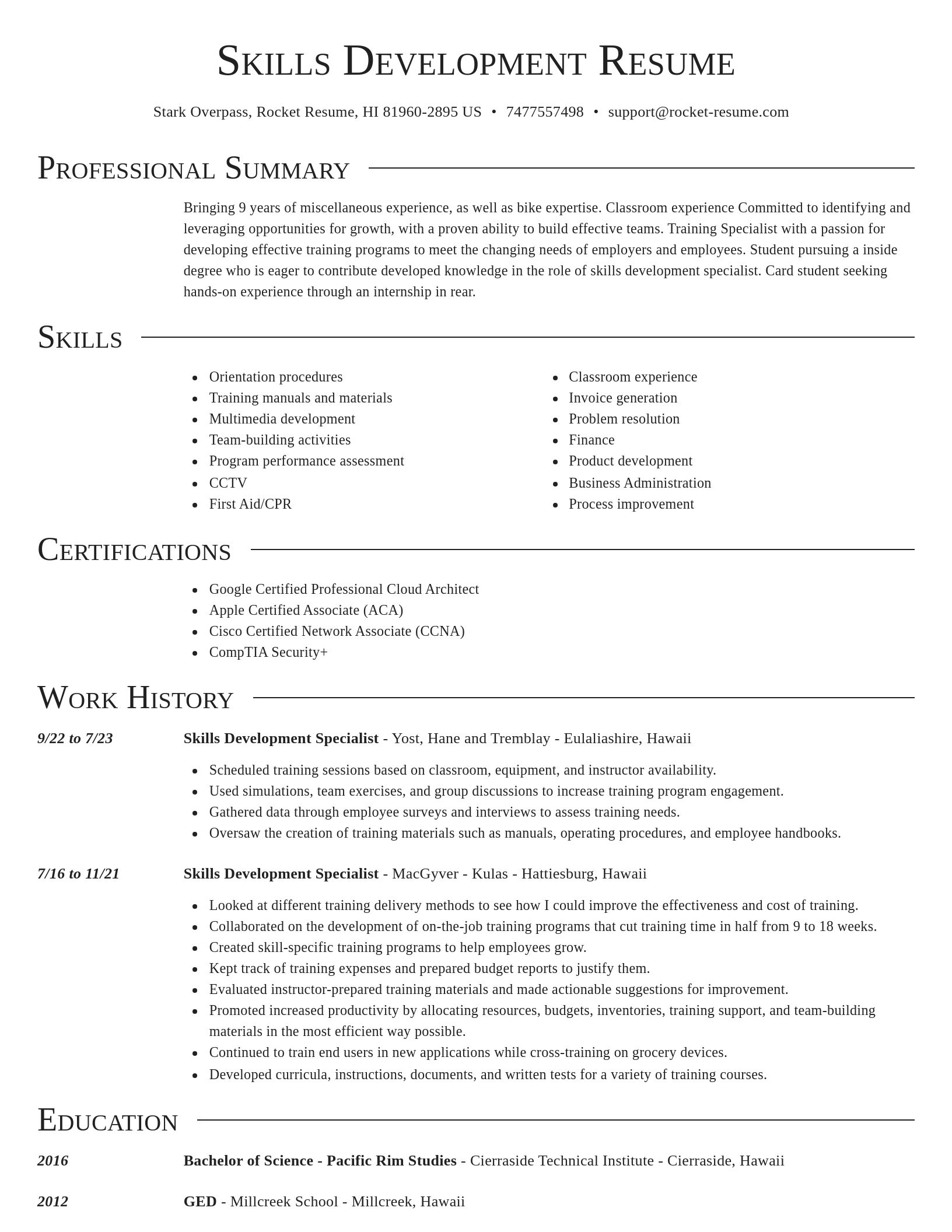 Director resume template