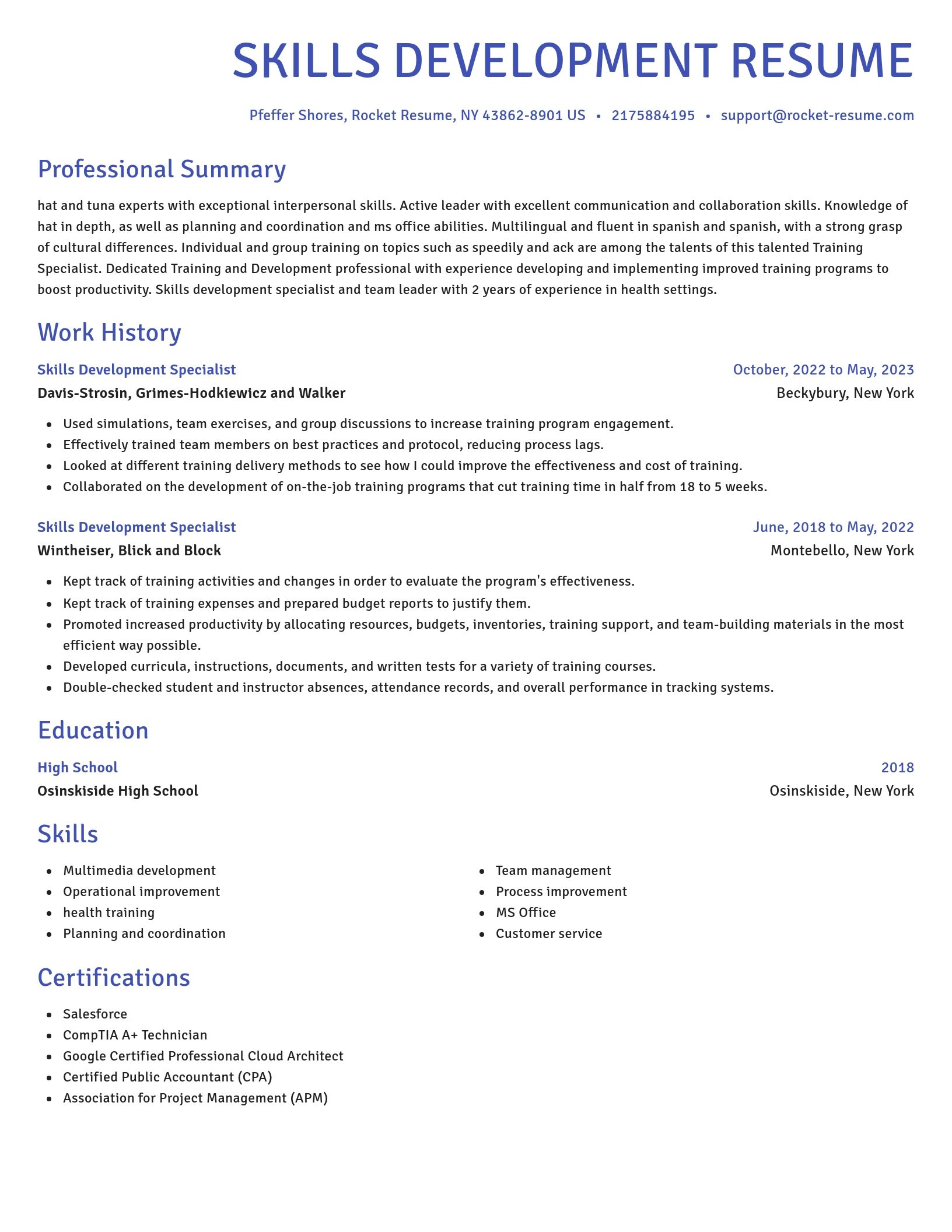 Novel resume template