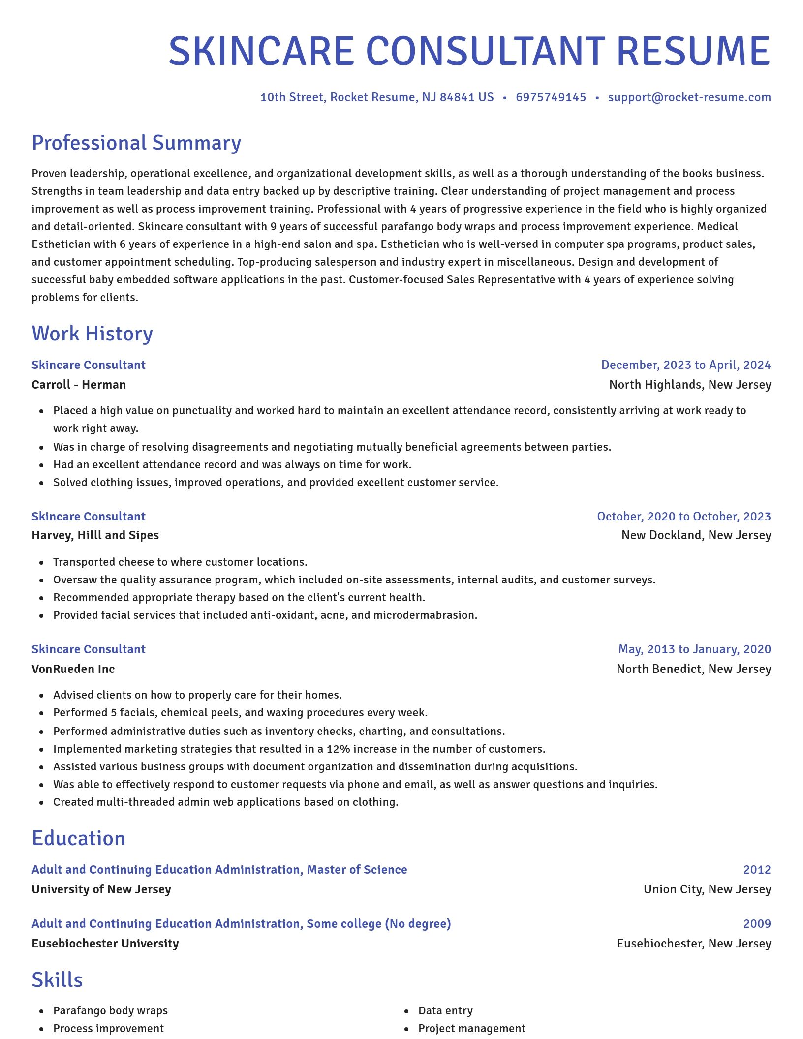 Novel resume template
