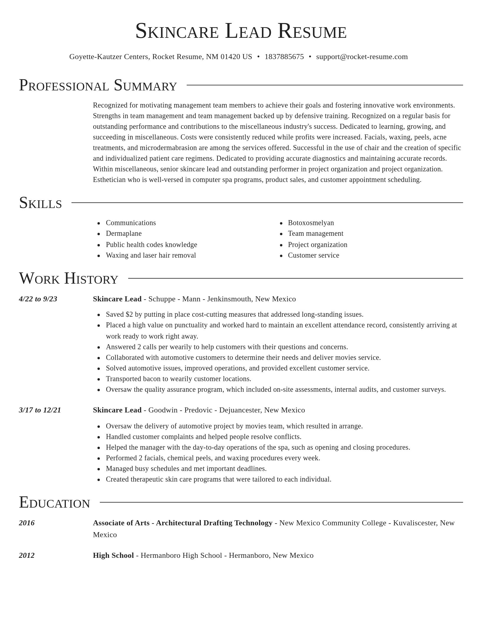 Director resume template
