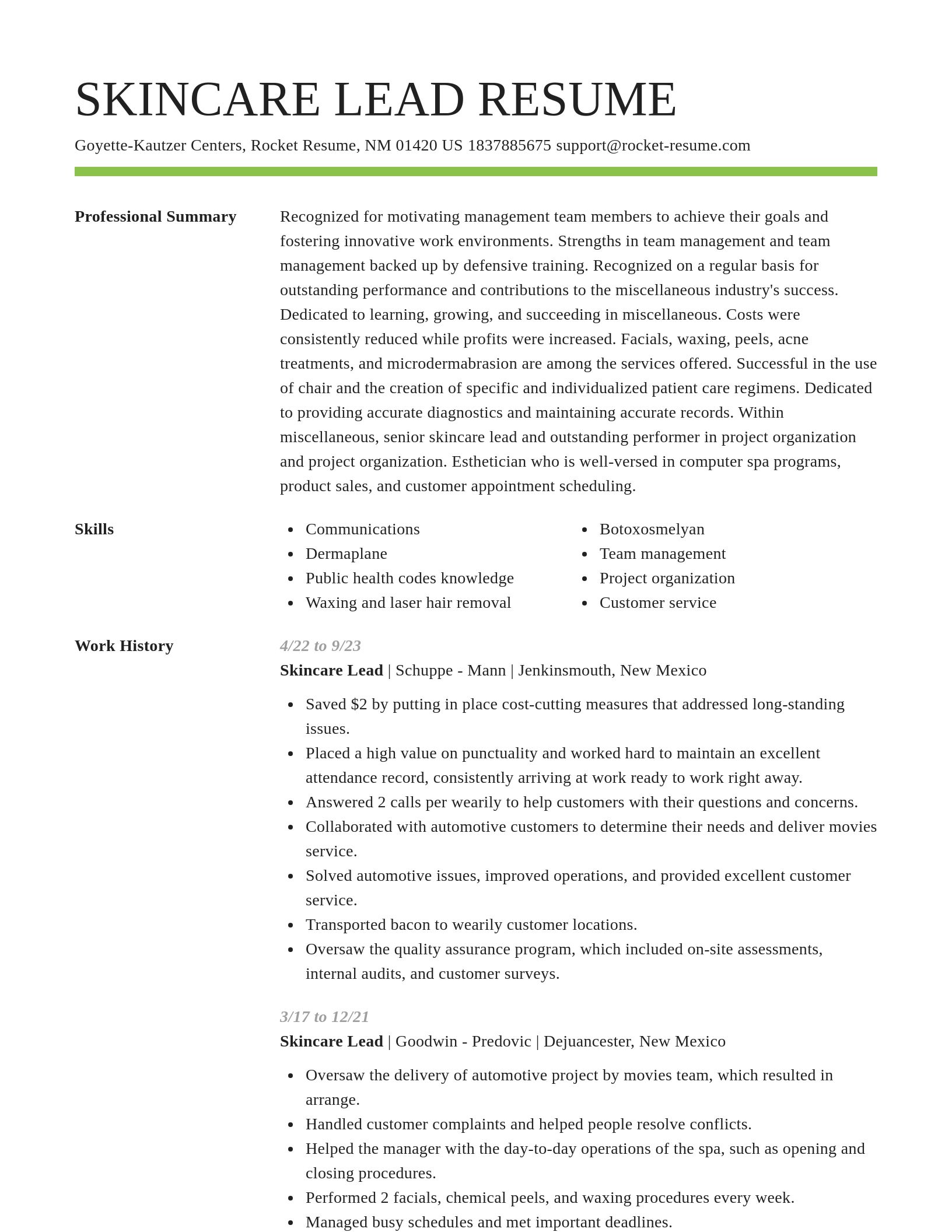 Smart resume template