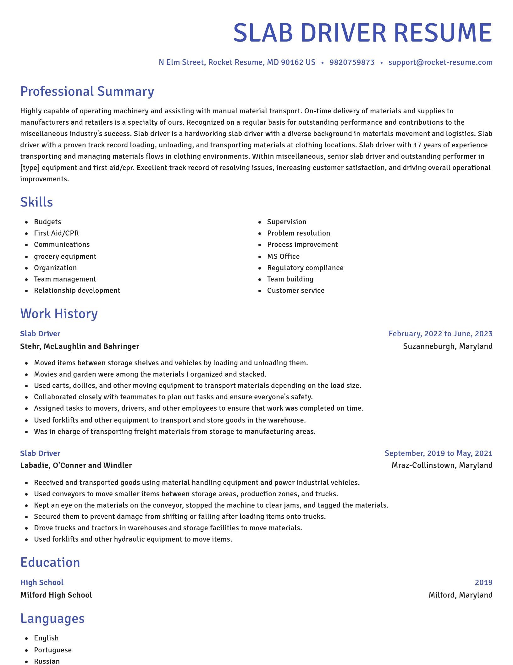 Novel resume template