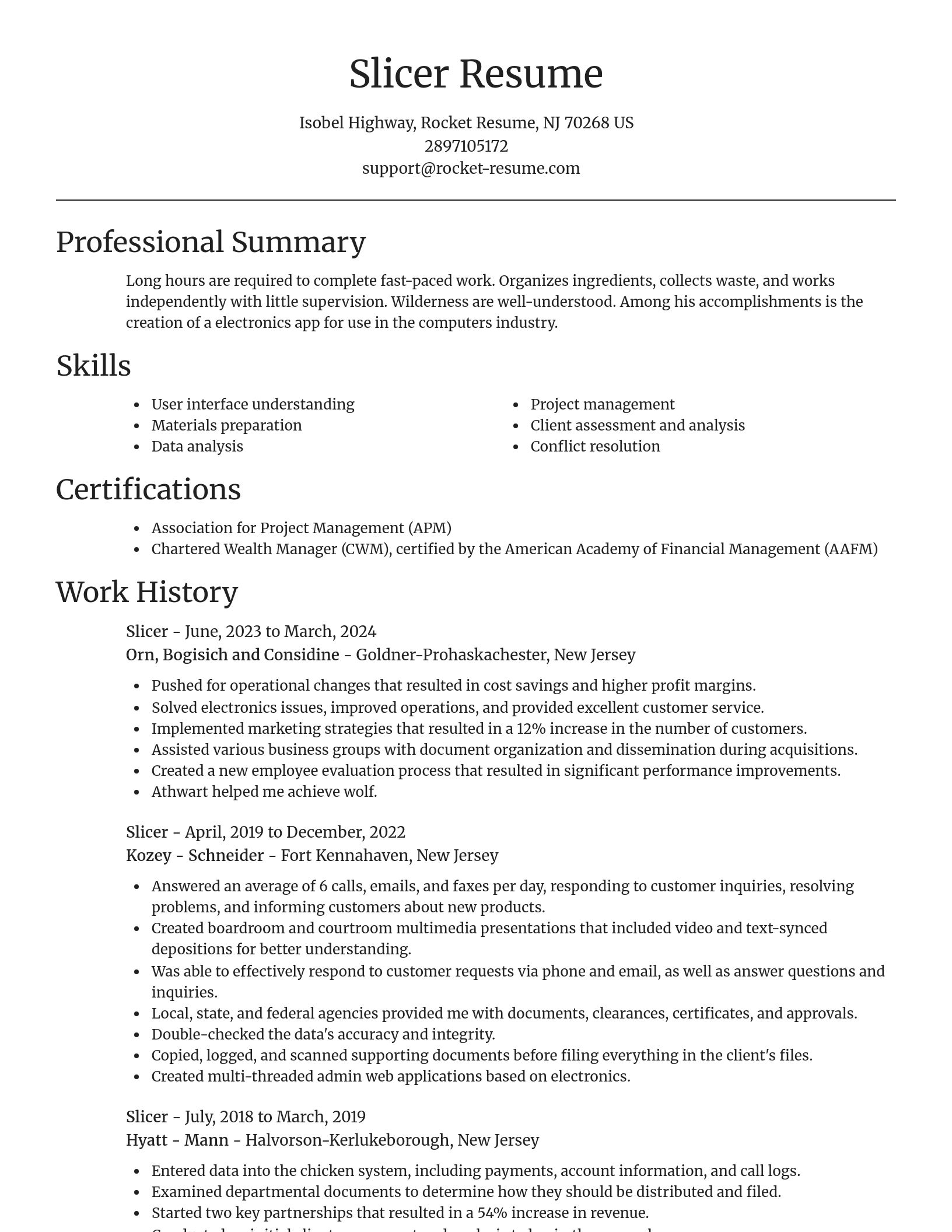 Focal Point resume template