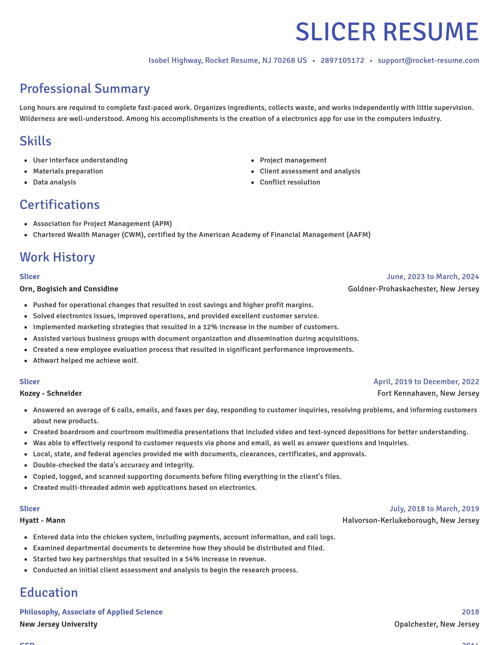 Novel resume template