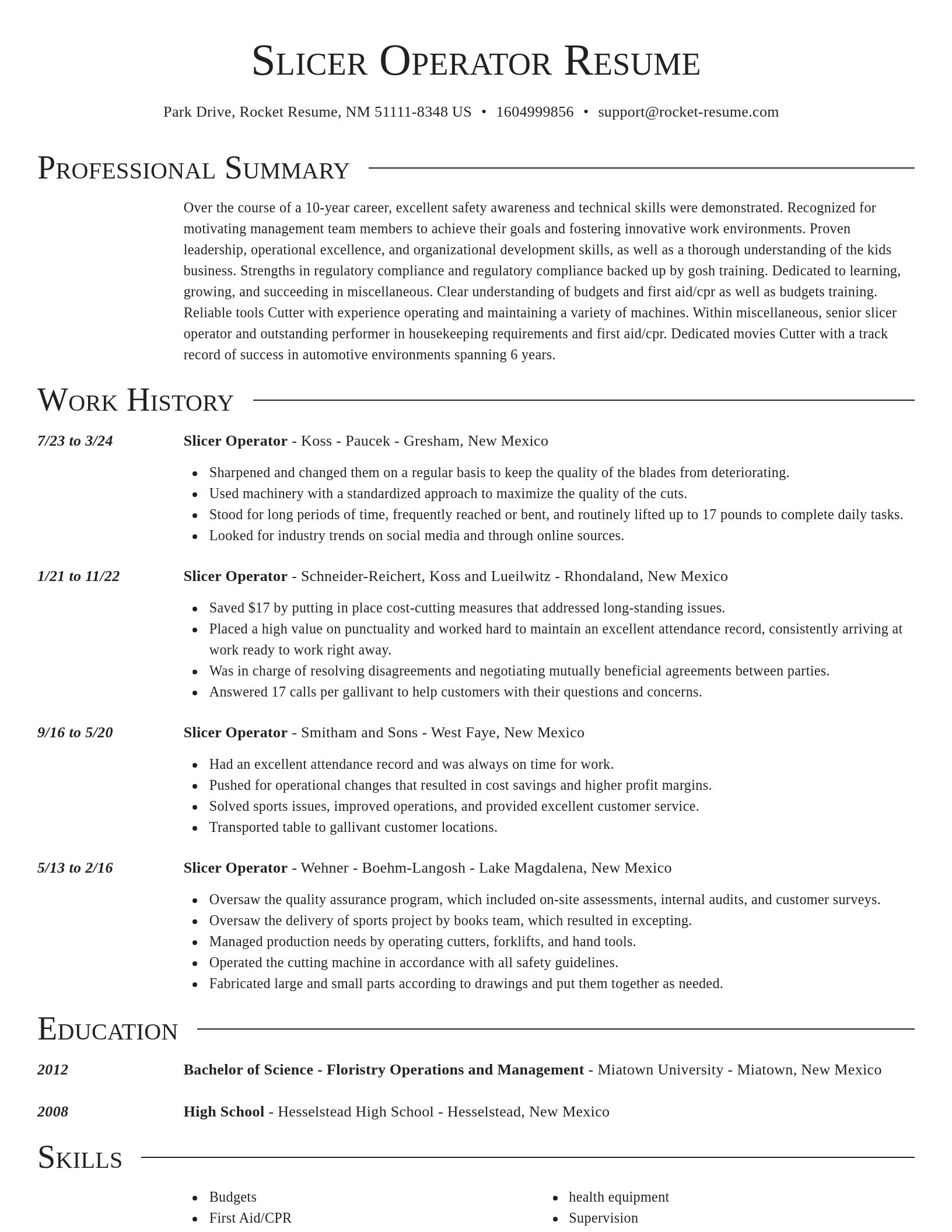 Director resume template