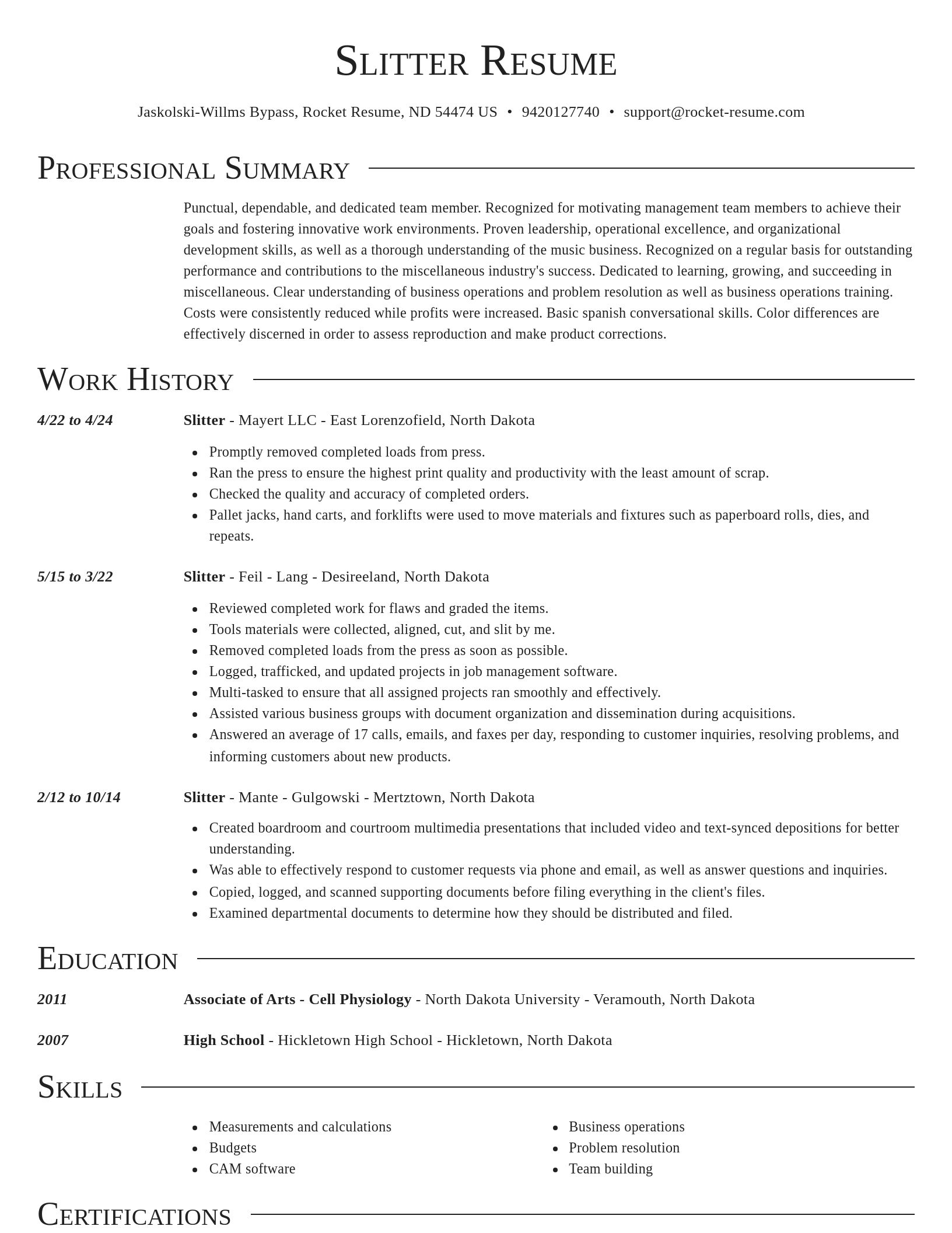 Director resume template