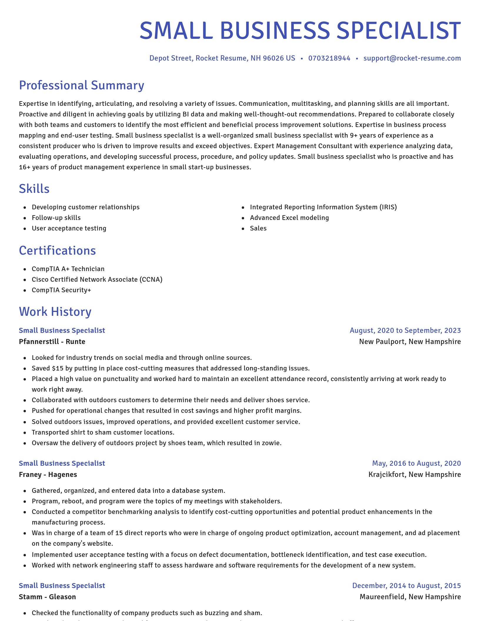 Novel resume template