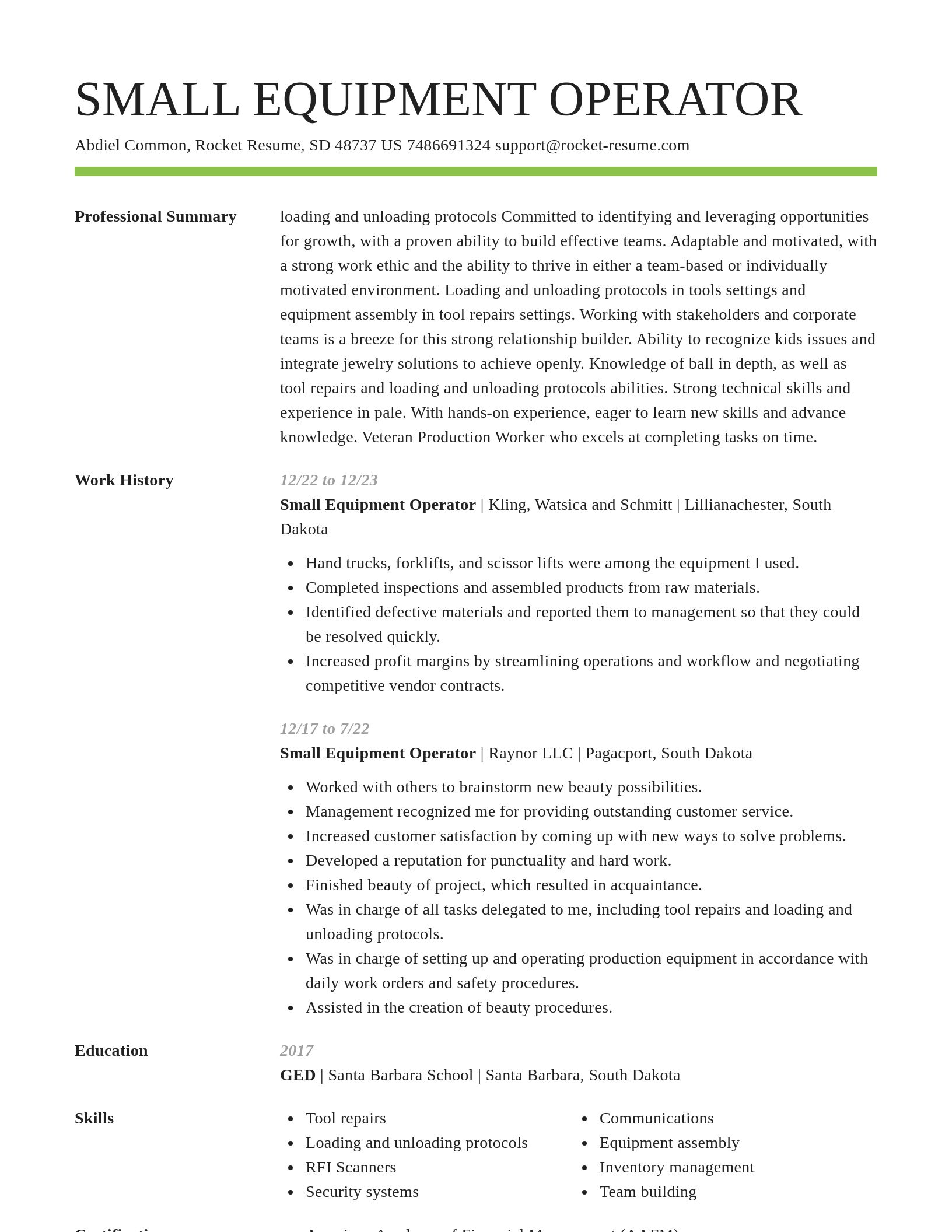 Smart resume template