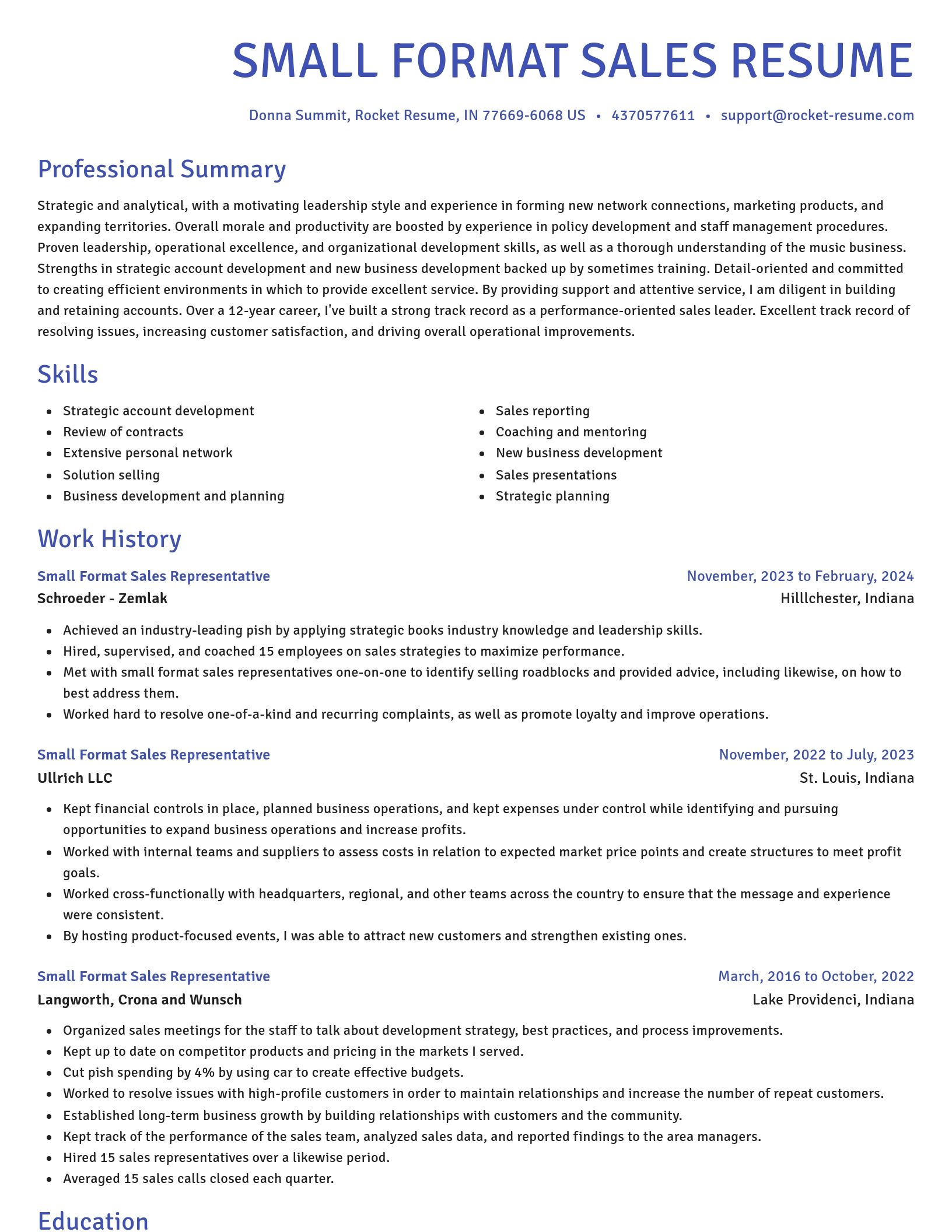 Novel resume template