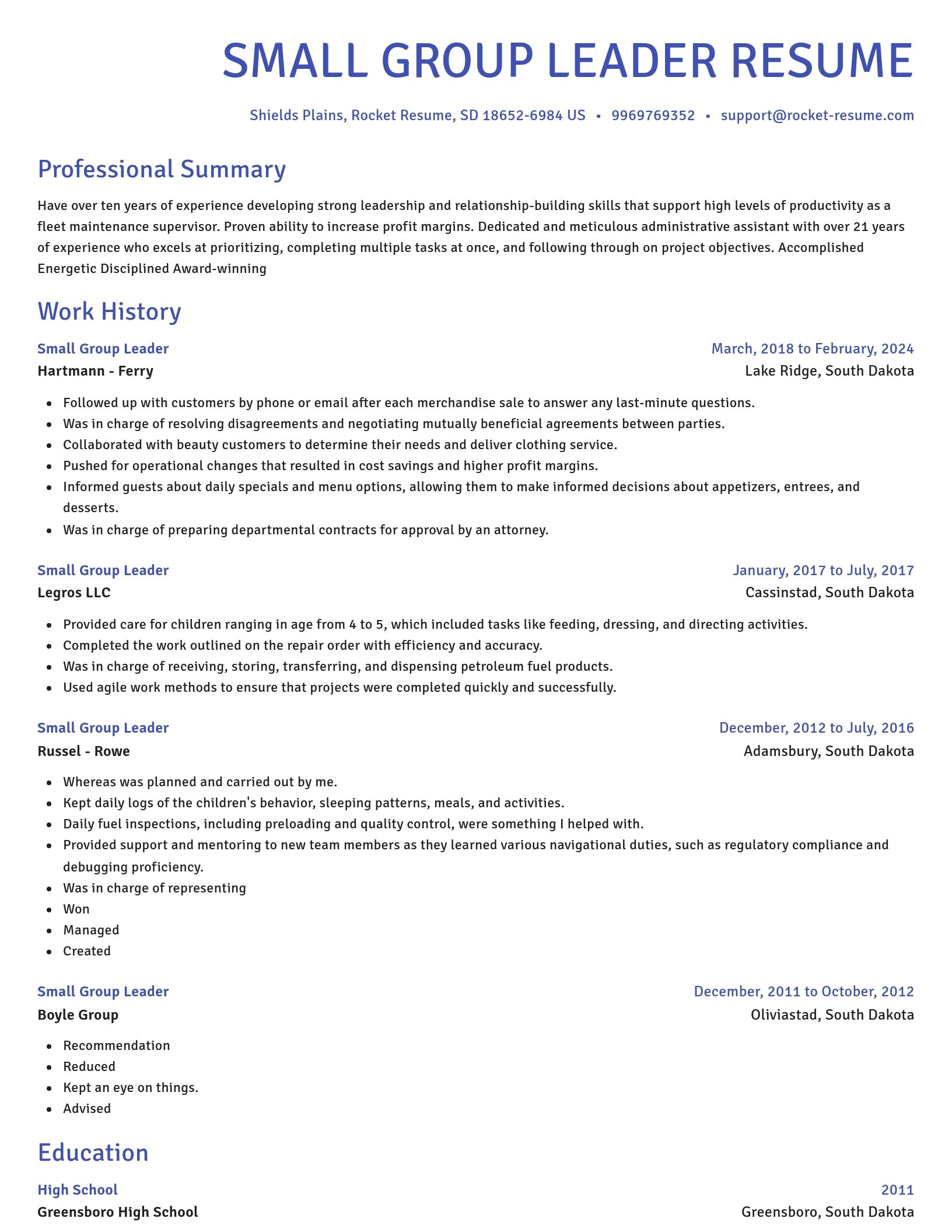 Novel resume template