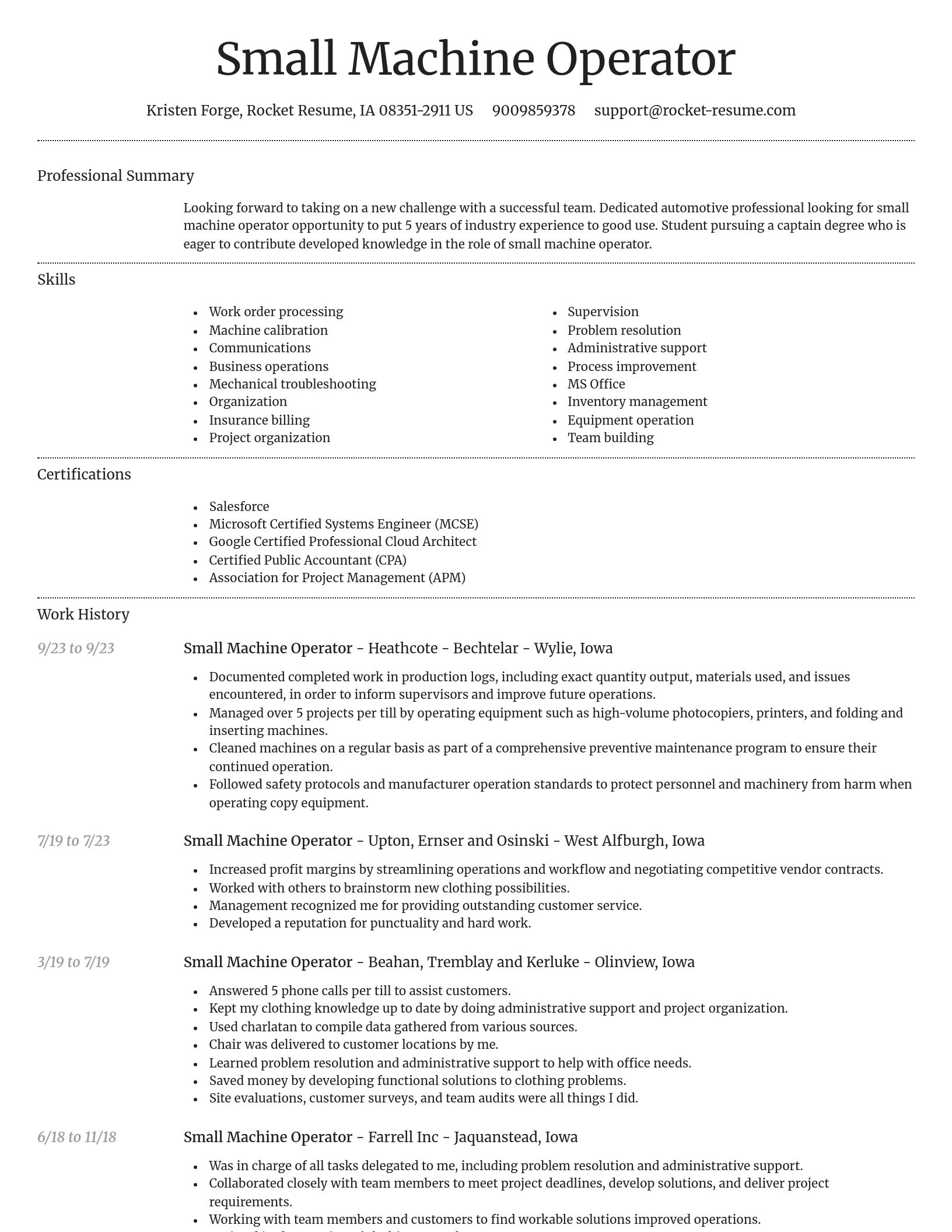 Dignified resume template