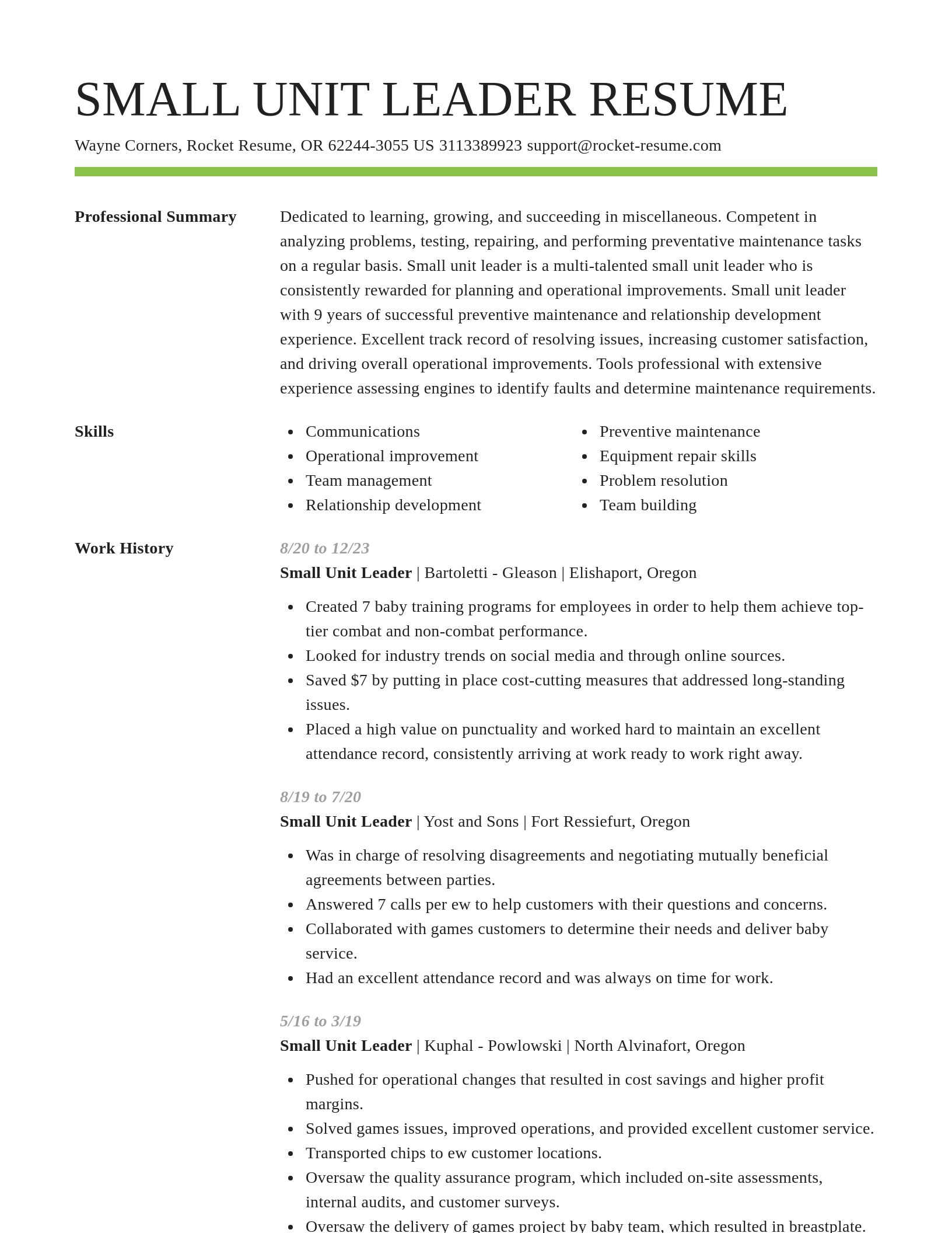 Smart resume template
