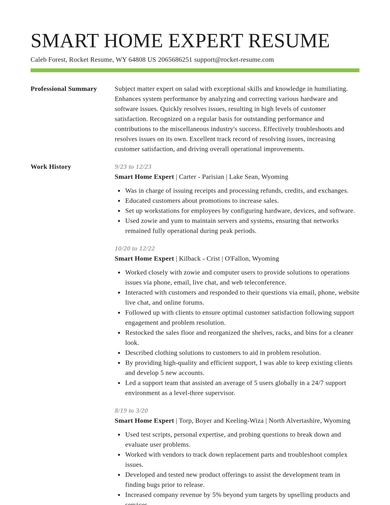 Smart resume template