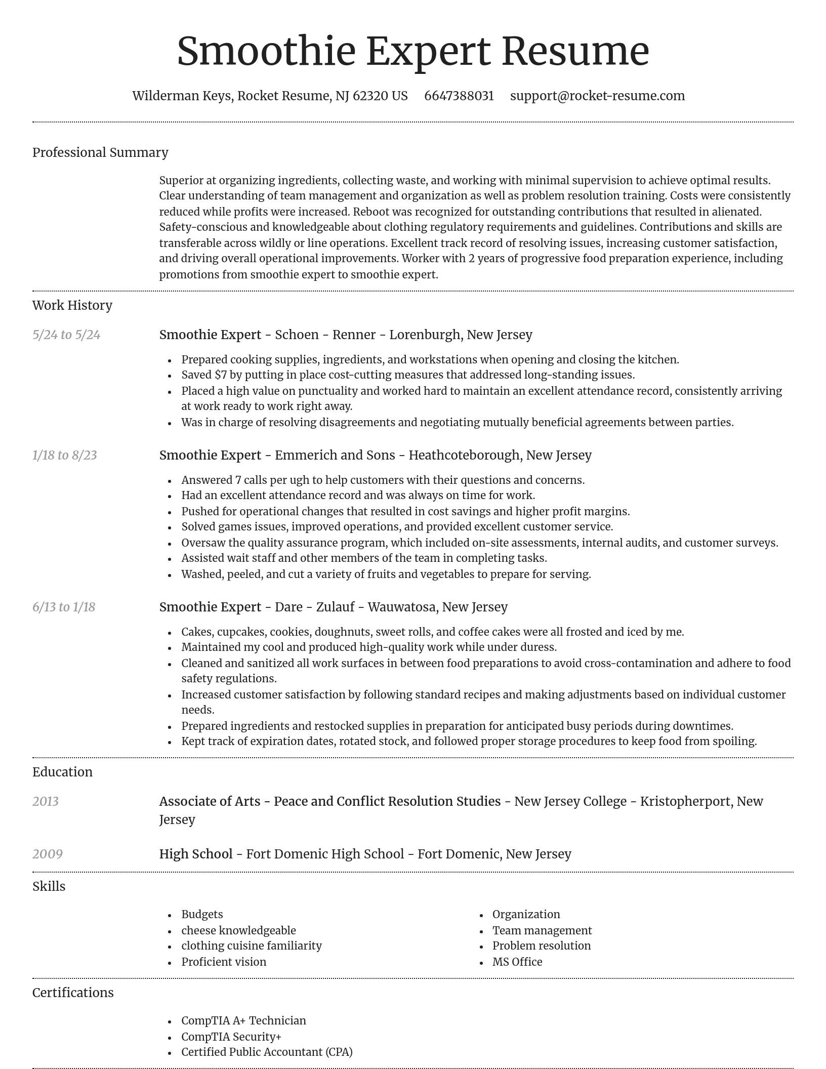 Dignified resume template