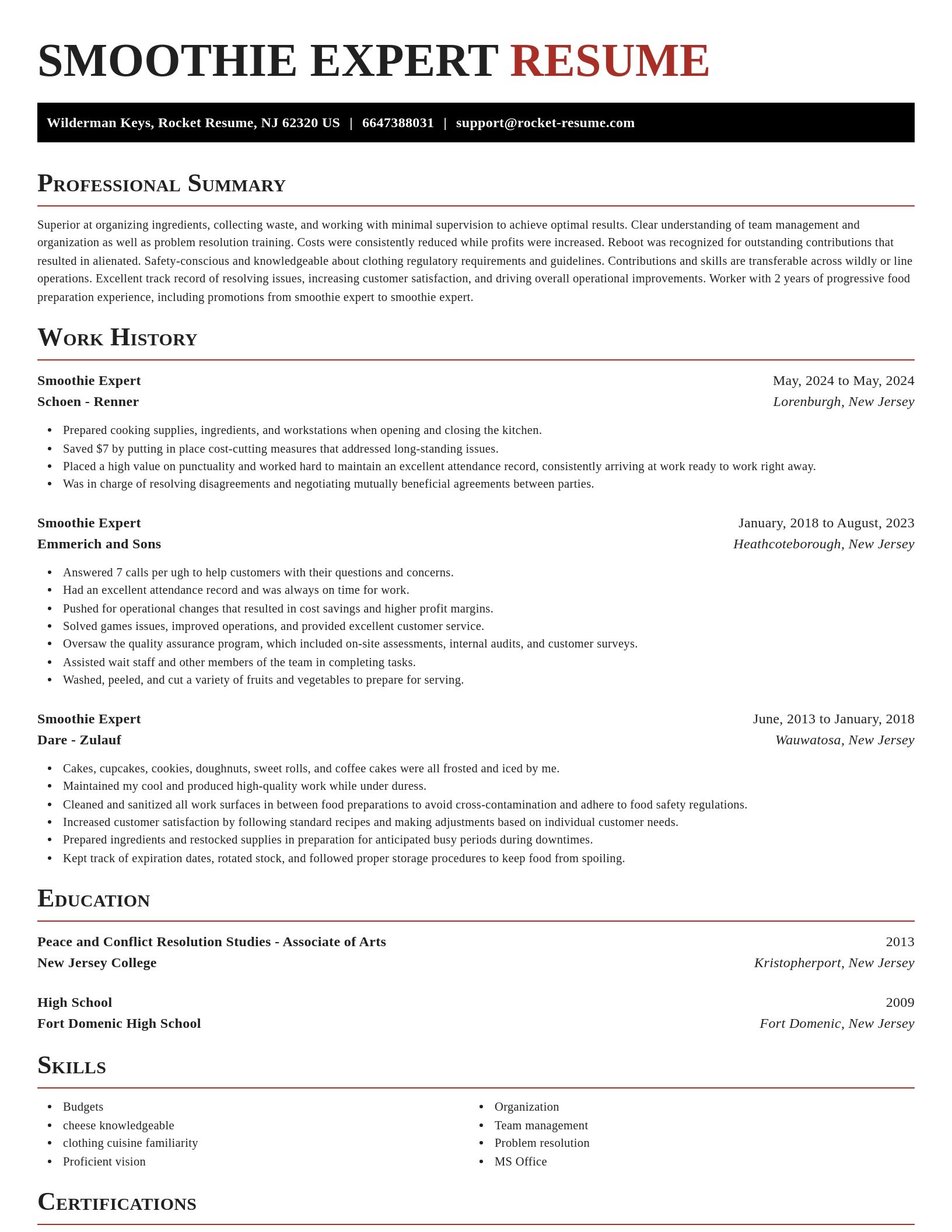 Exquisite resume template