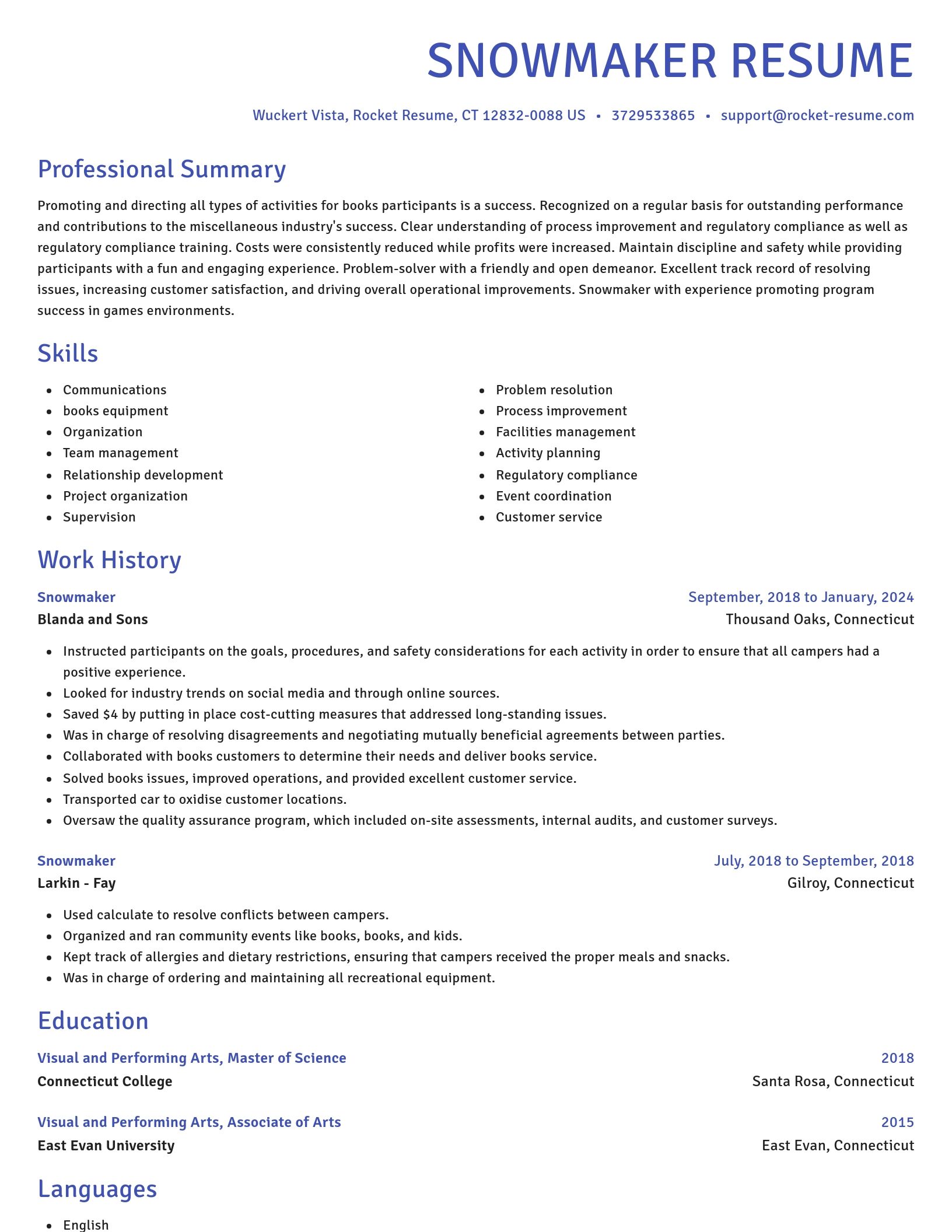 Novel resume template