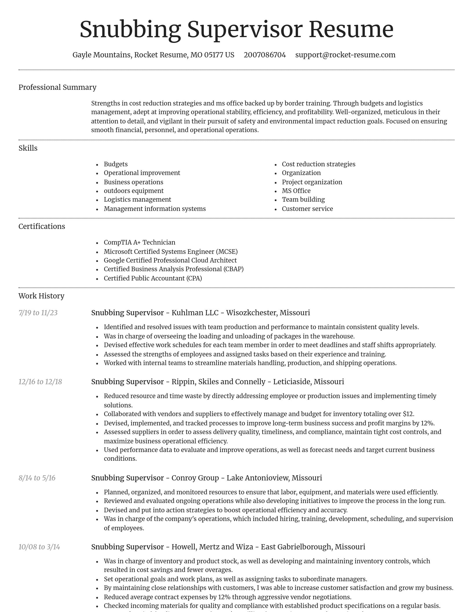 Dignified resume template