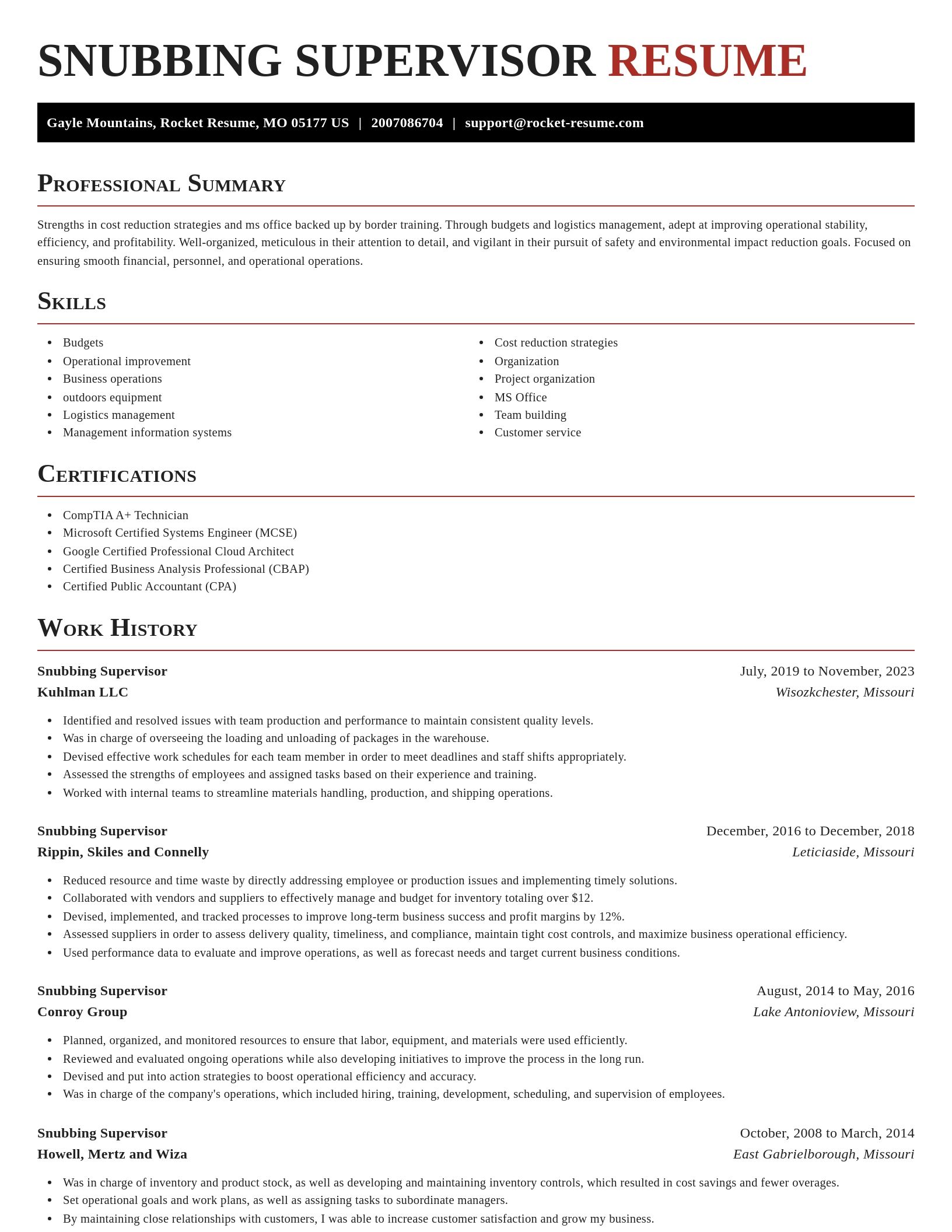 Exquisite resume template