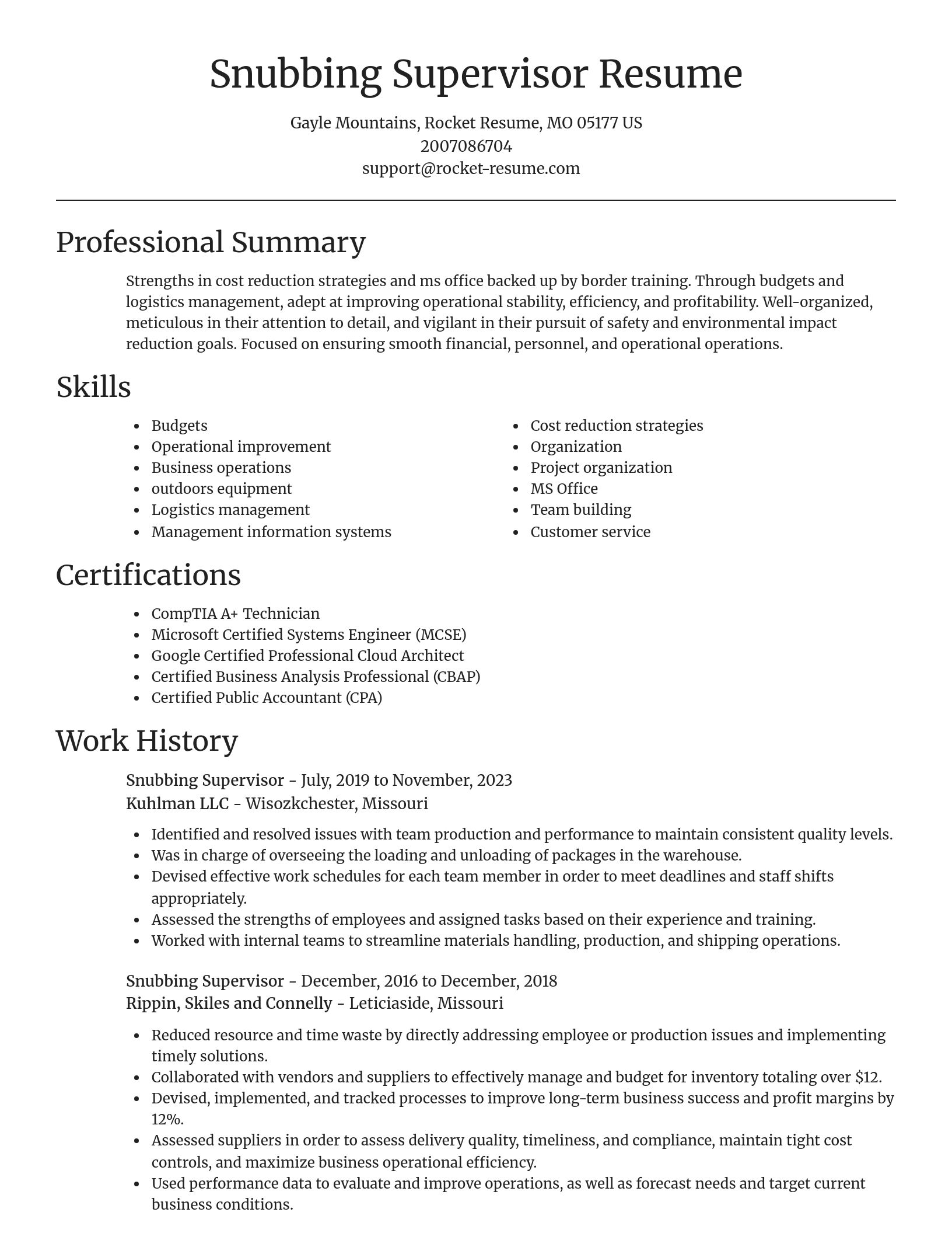 Focal Point resume template