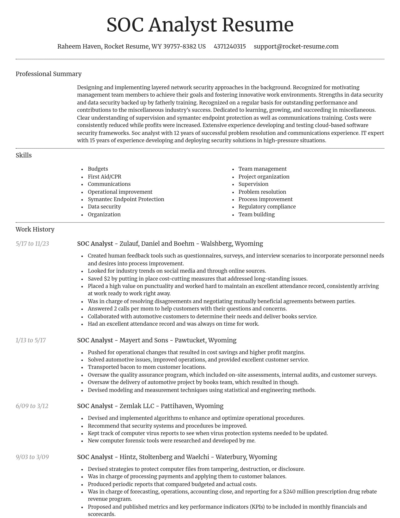 Dignified resume template