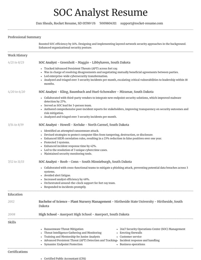 Dignified resume template