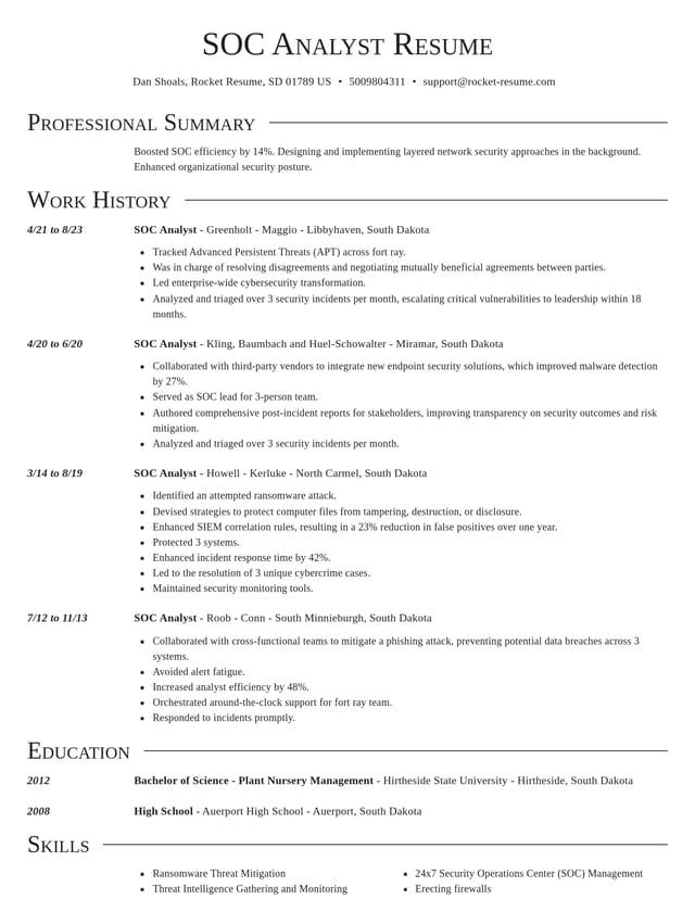 Director resume template