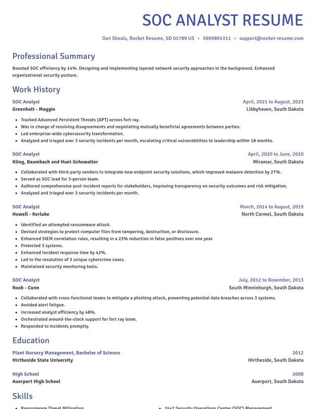 Novel resume template