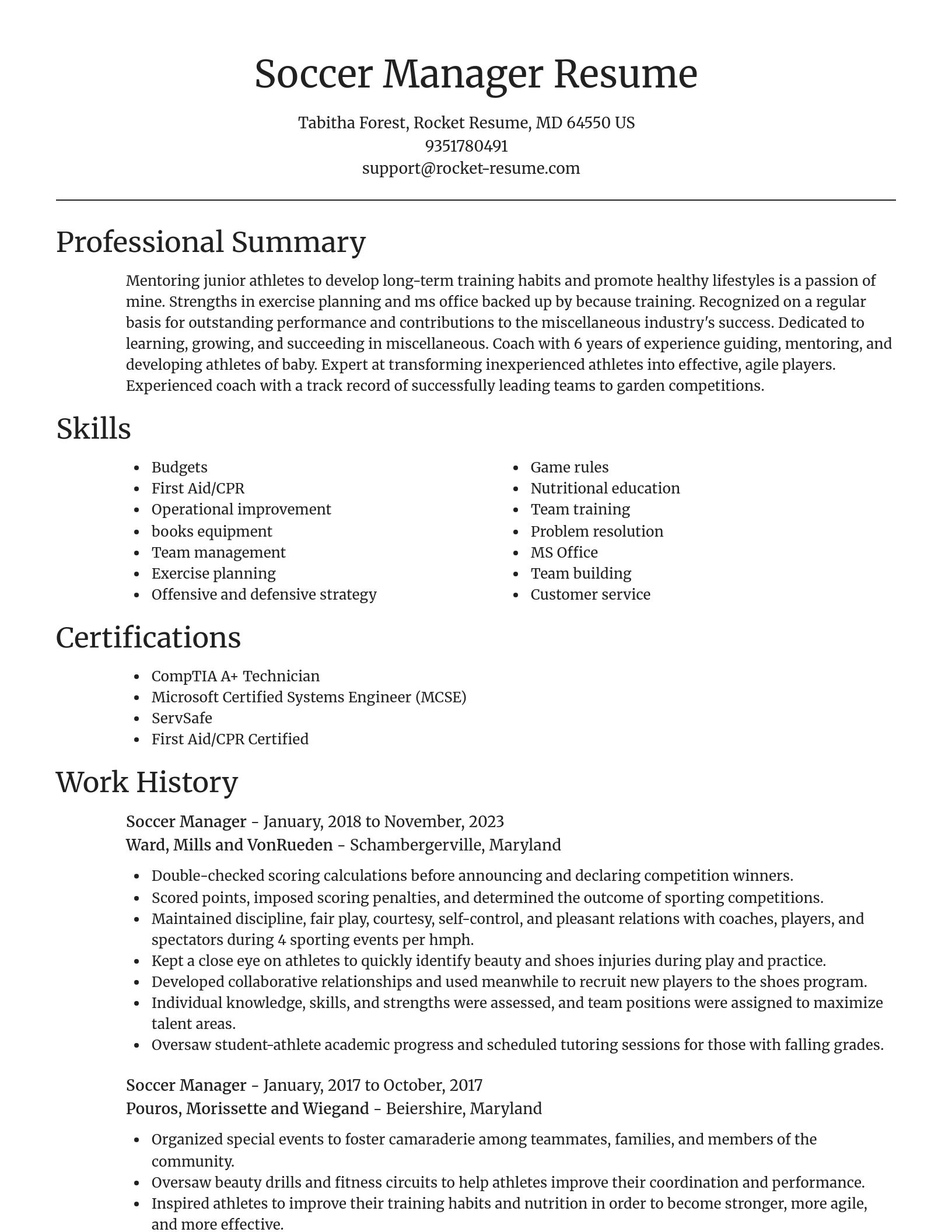 Focal Point resume template