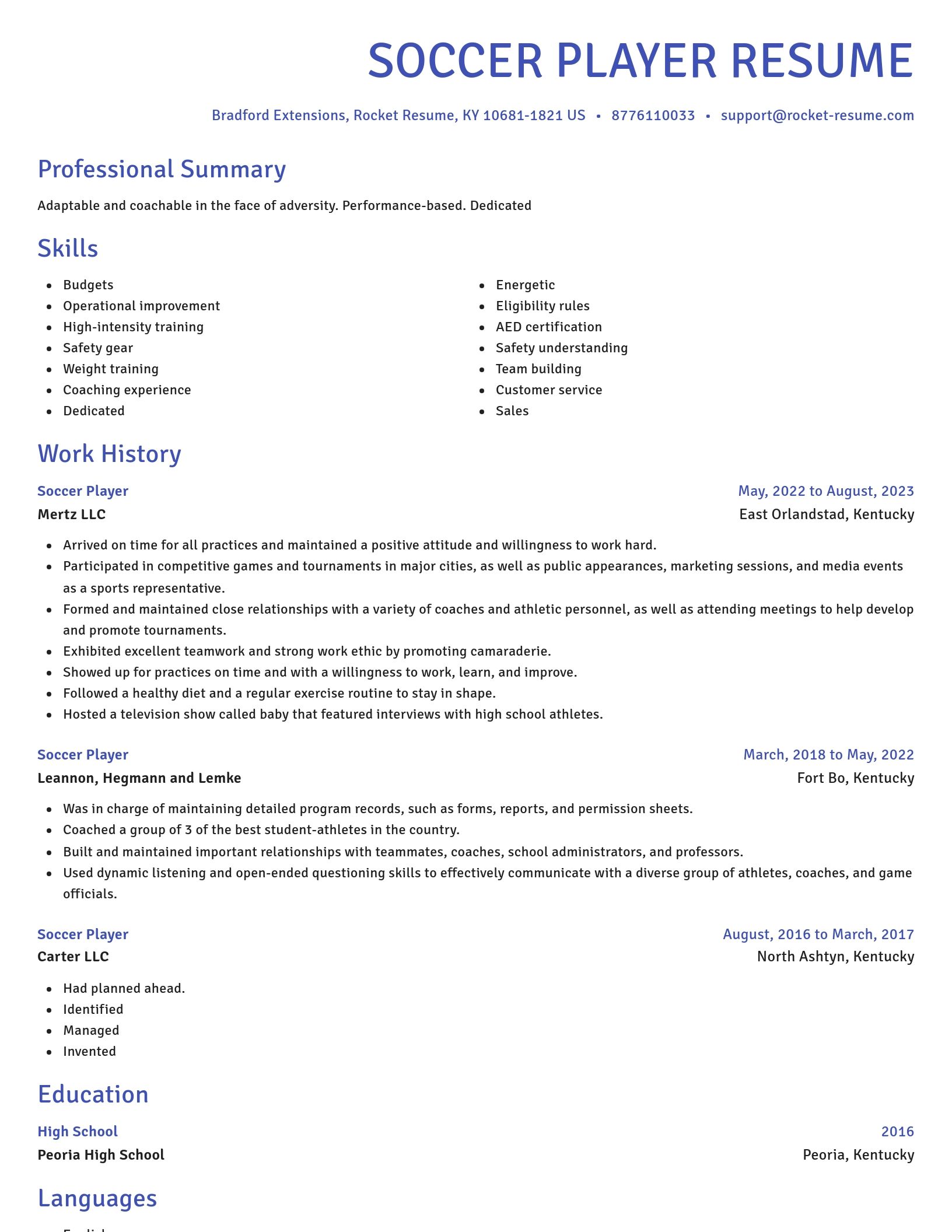 Novel resume template