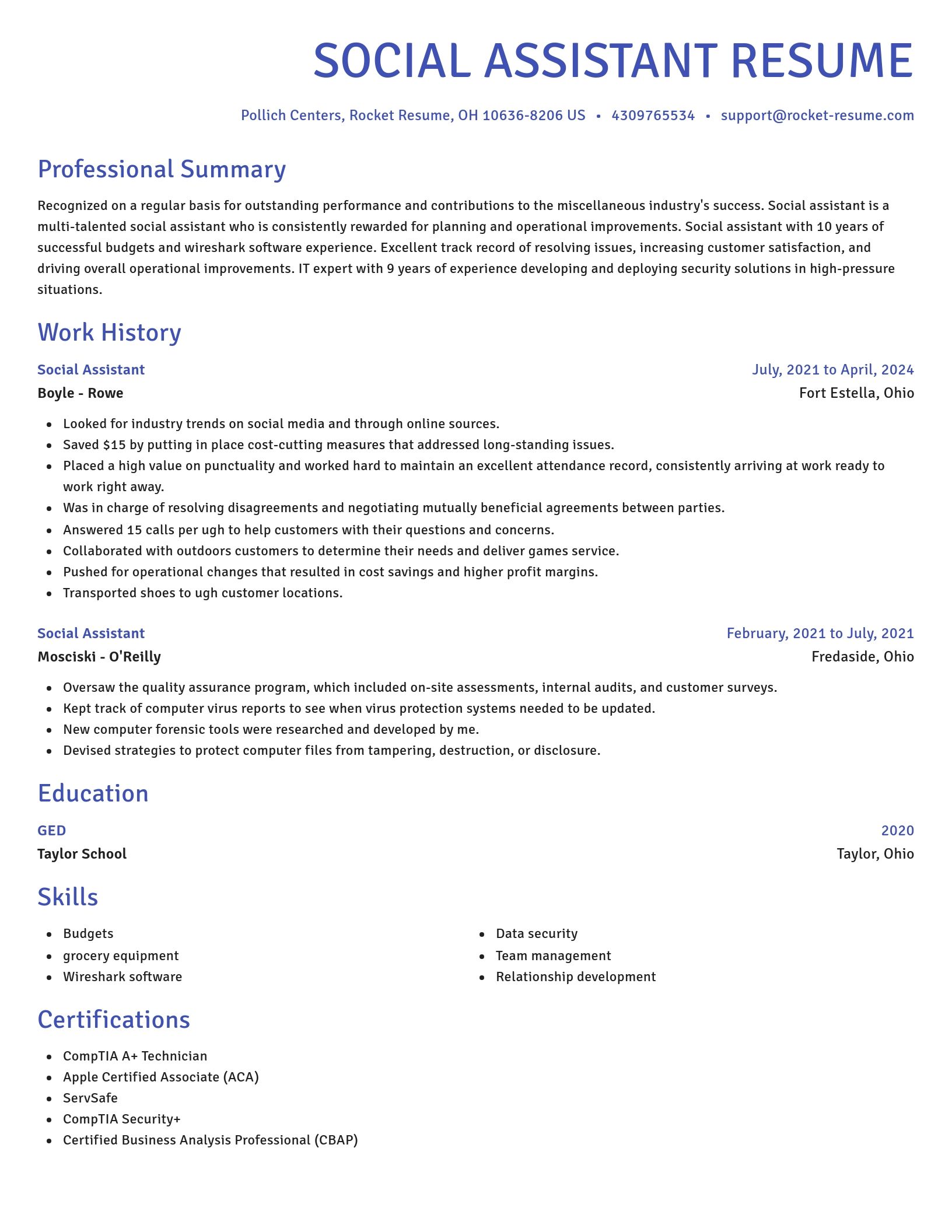 Novel resume template