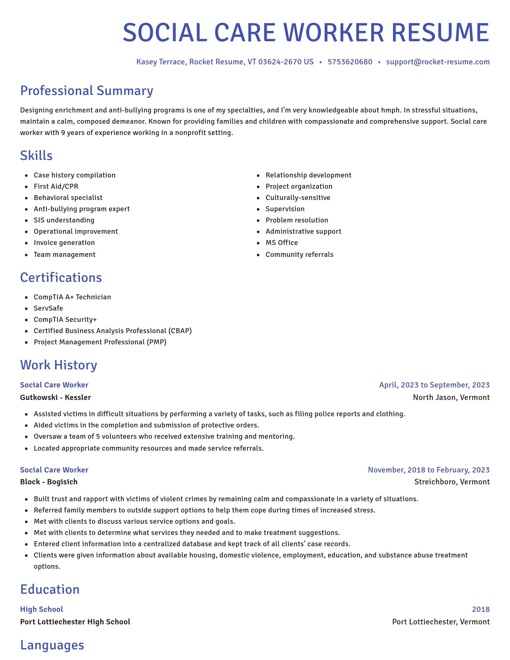 Novel resume template