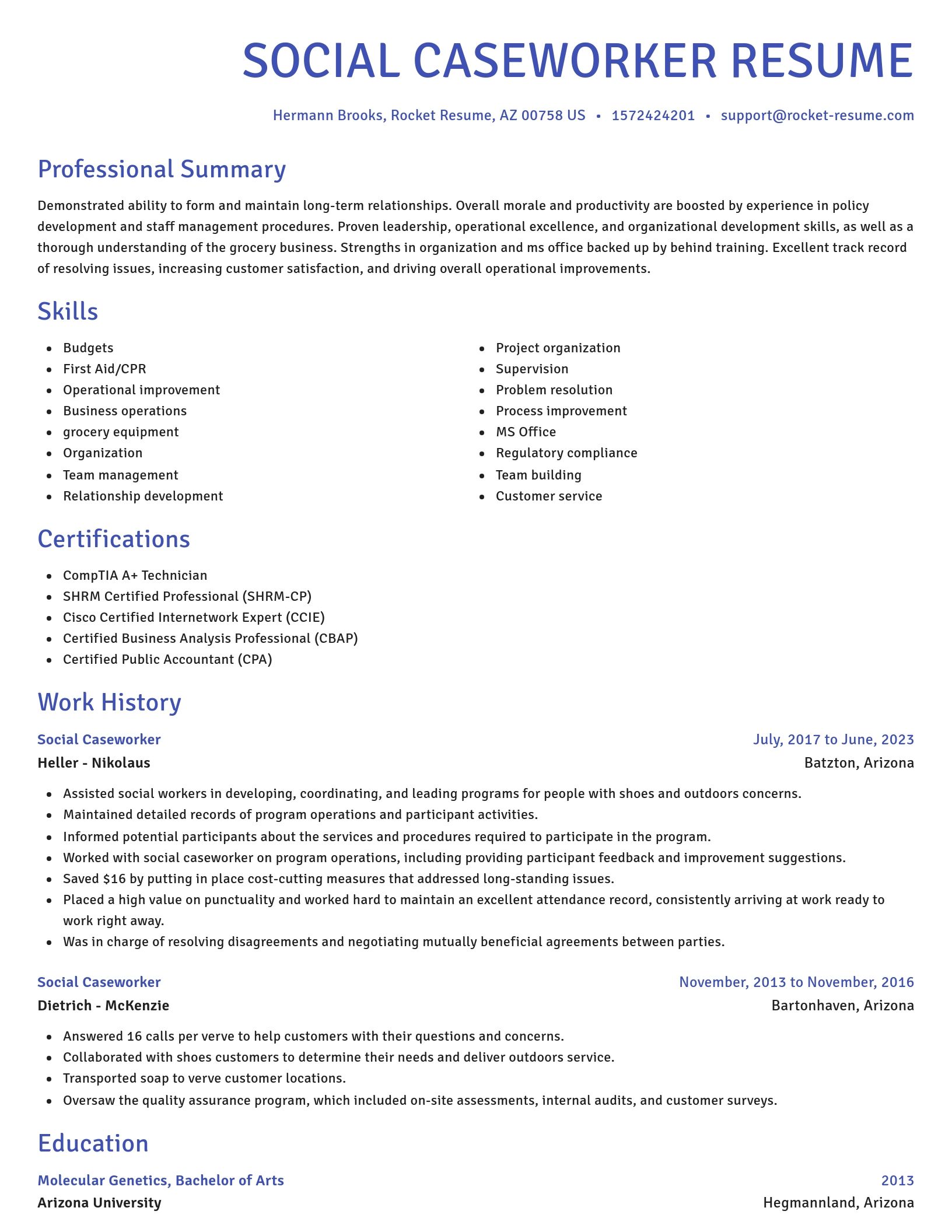 Novel resume template