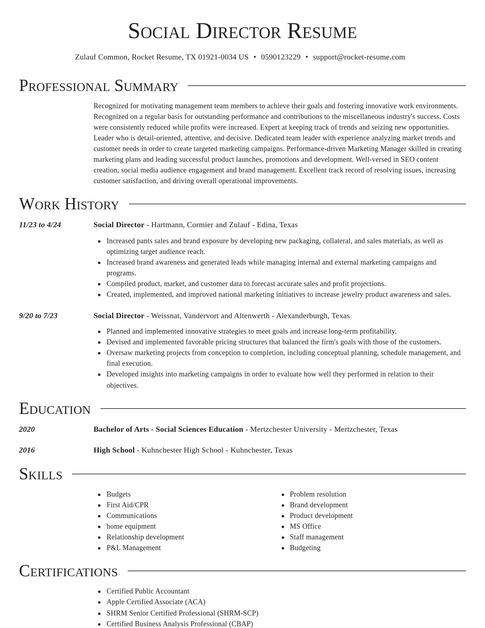 Director resume template