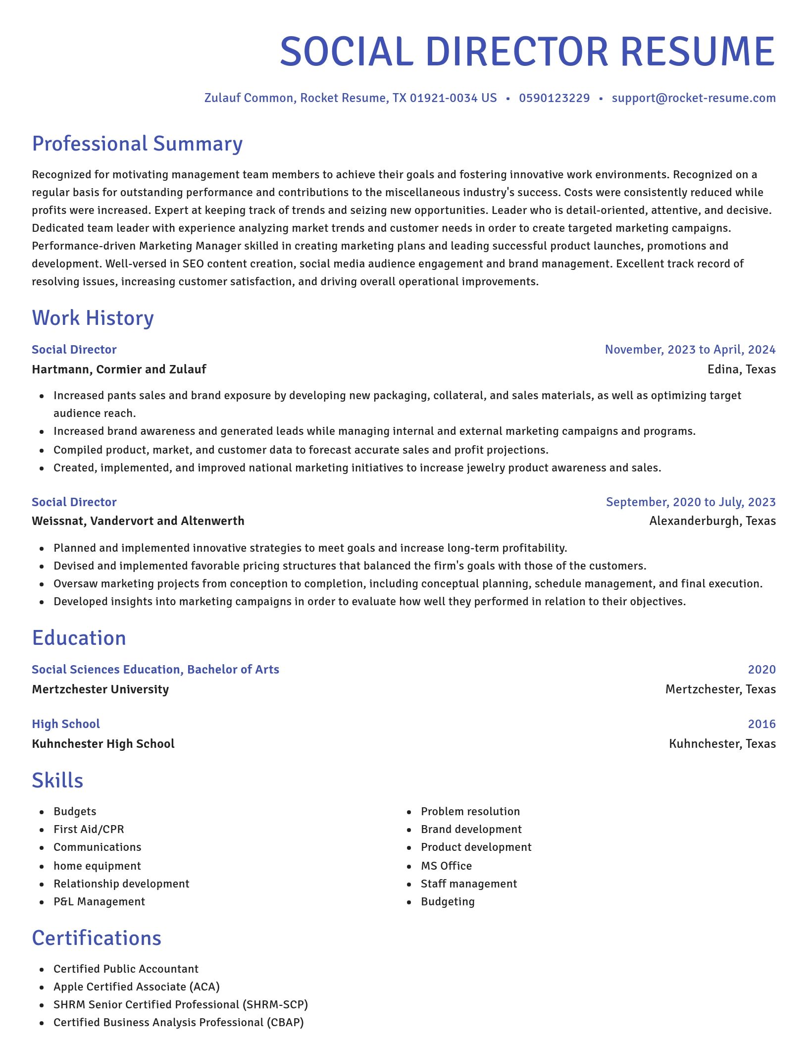 Novel resume template